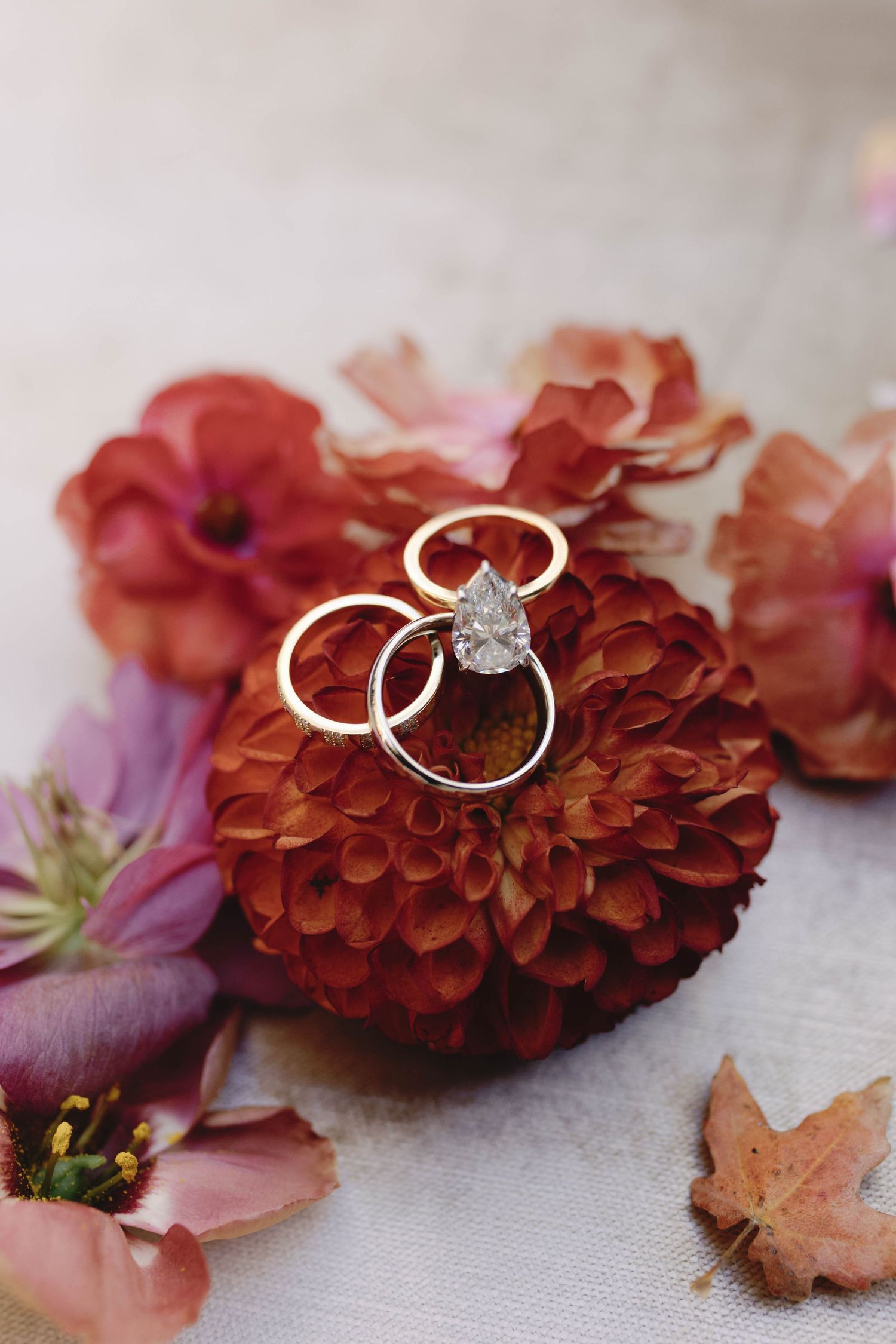 Wedding rings with diamond solitaire displayed on red dahlia flower with pink floral accents and autumn leaves.