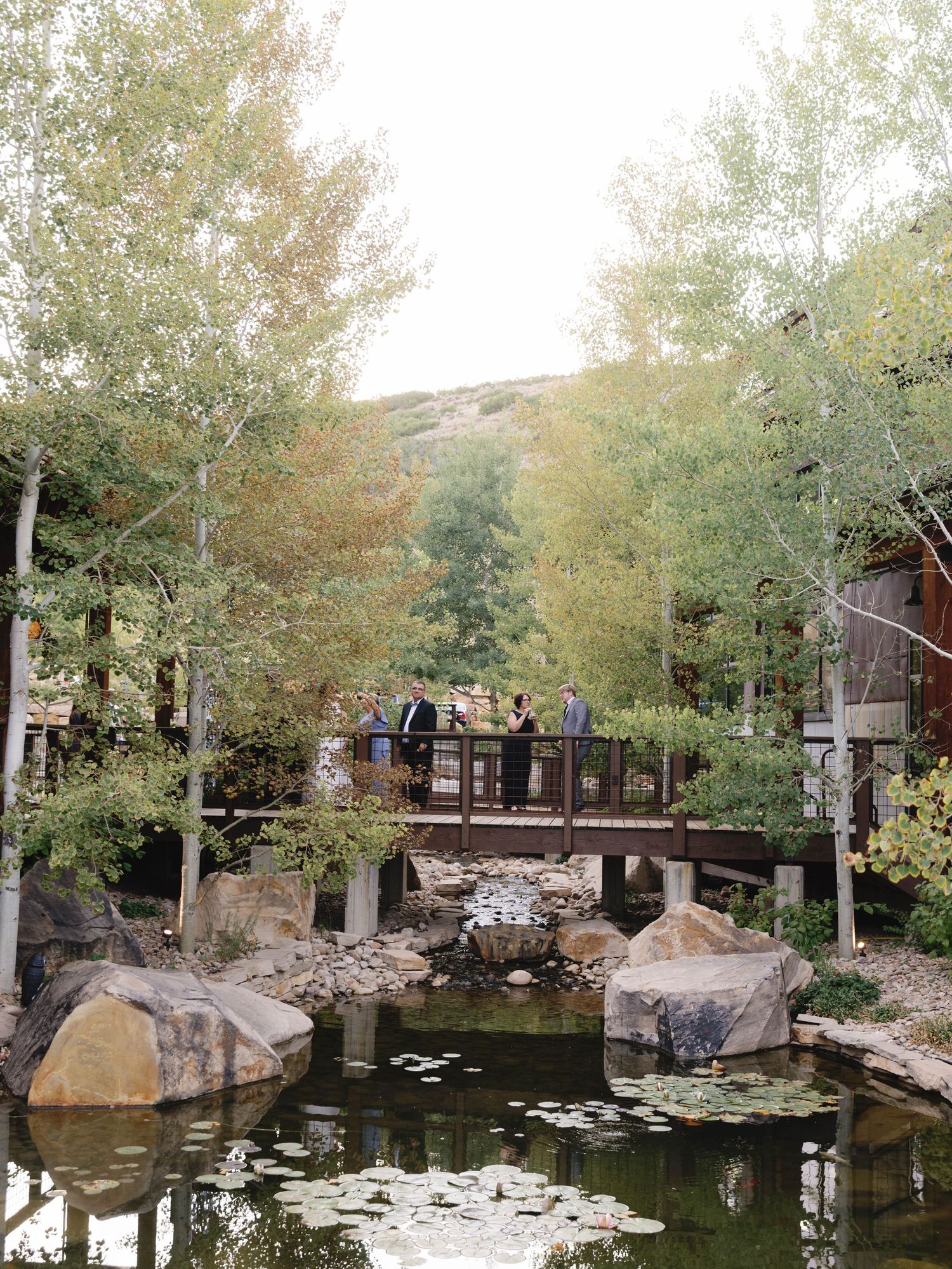 Scenic pond surrounded by aspen trees and rocks creates tranquil outdoor landscape setting.