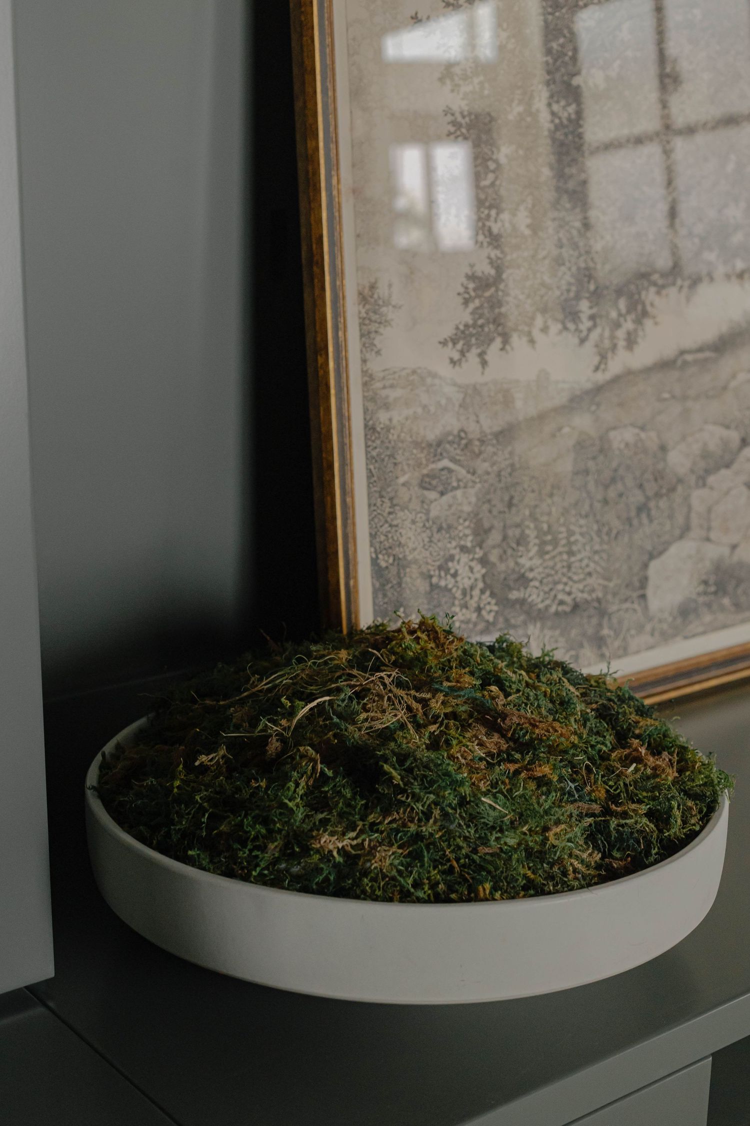A white bowl filled with lush green moss sits on a windowsill beside a framed landscape artwork.