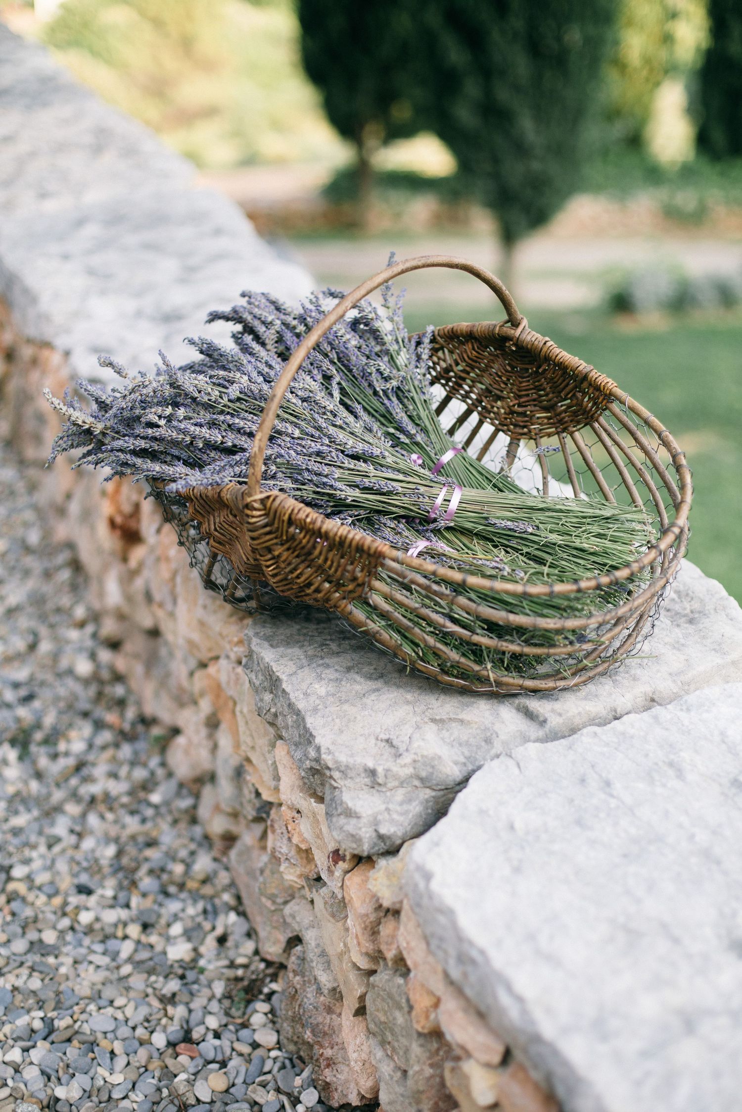 Rustic woven basket filled with fresh lavender resting on a stone wall.