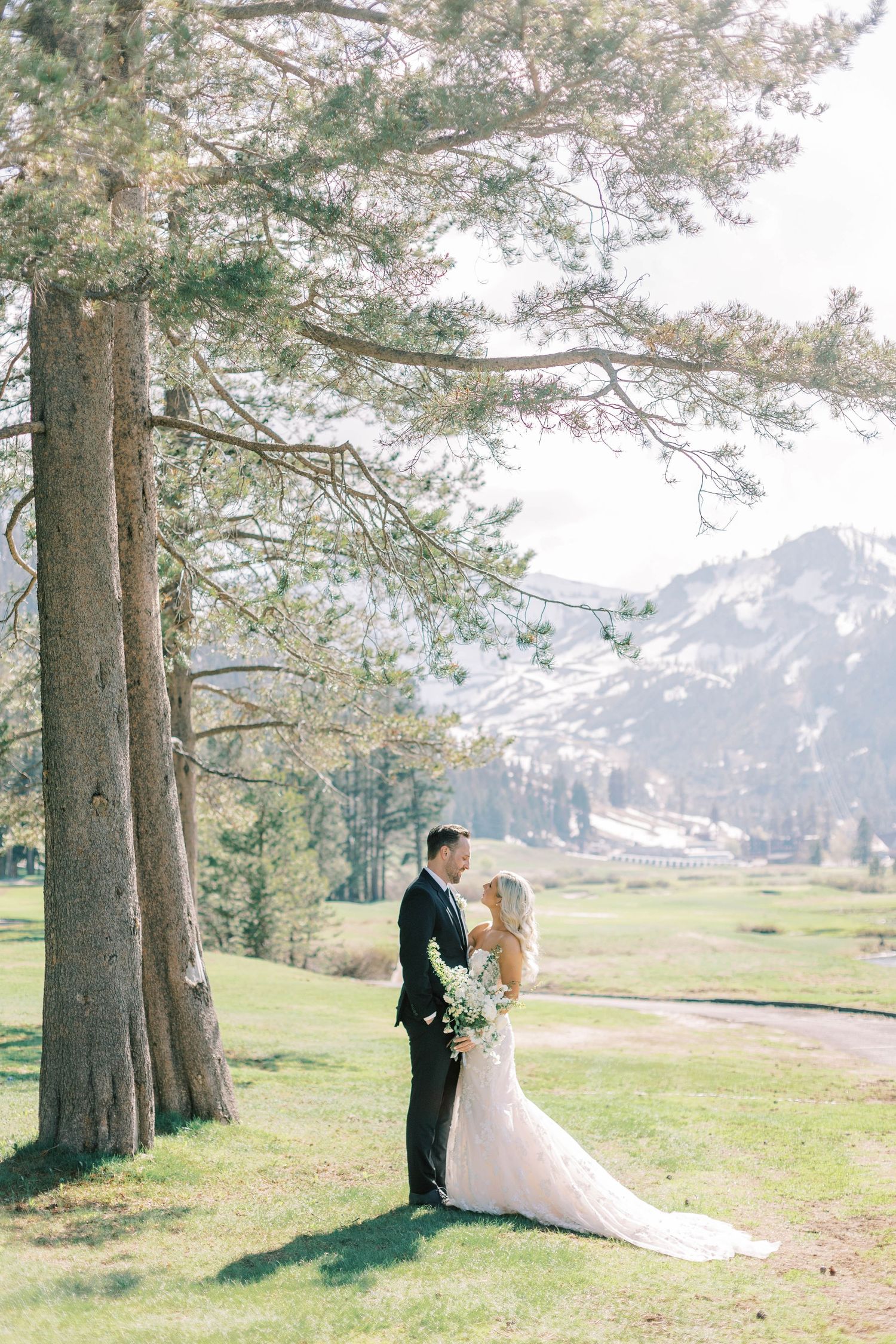 Romantic wedding portrait beneath tall pine trees with snow-capped mountains at everline resort in lake tahoe.