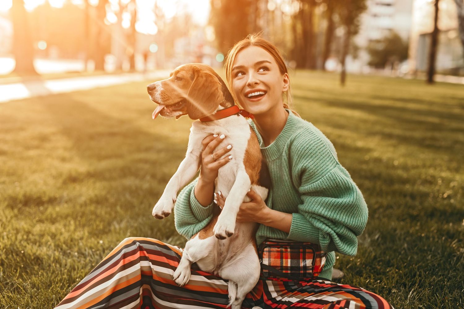 Happy woman in teal sweater hugging a beagle puppy on green grass in a sunny park at golden hour.