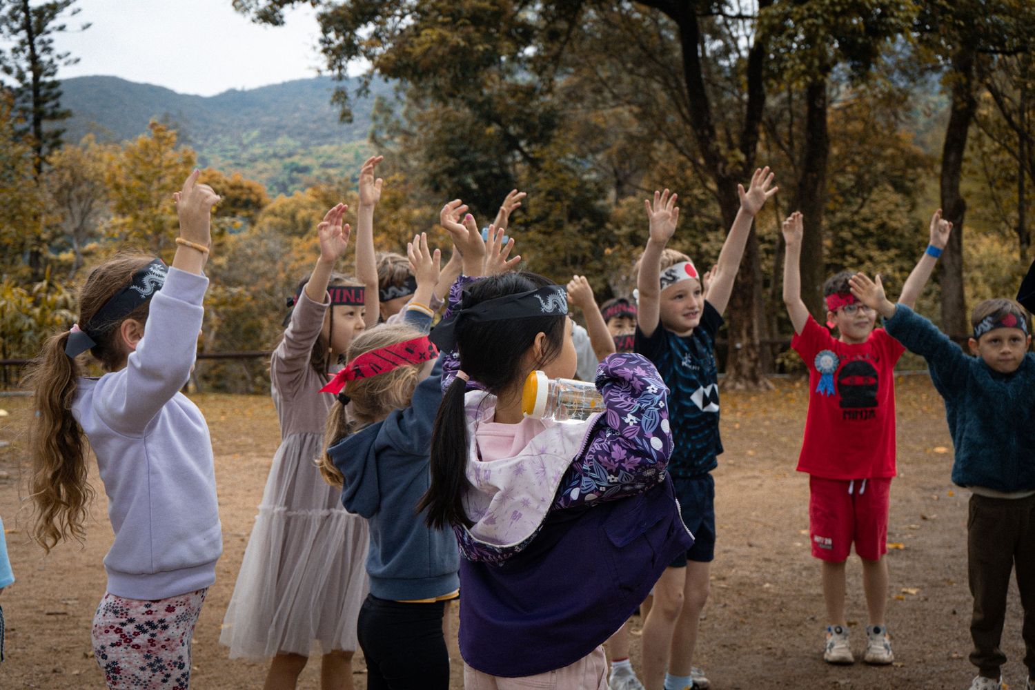 Group of people with raised arms enjoying outdoor activities in a mountain setting.