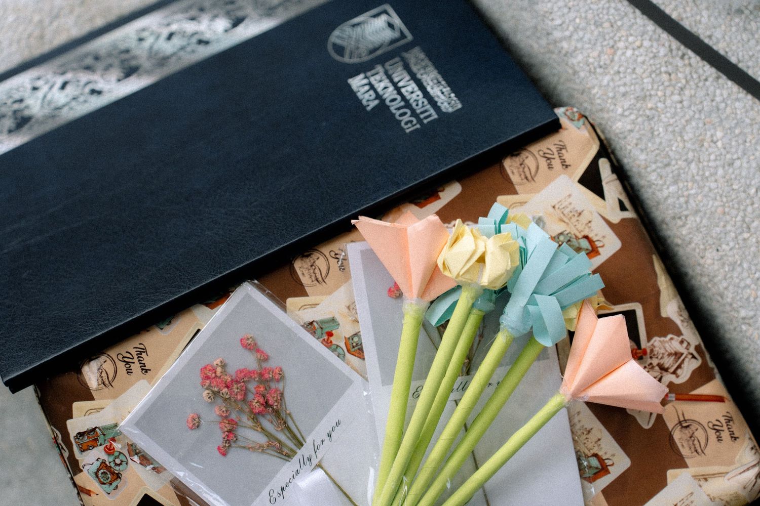 Money bills spread out in a fan shape with green celery stalks placed on top of the cash.