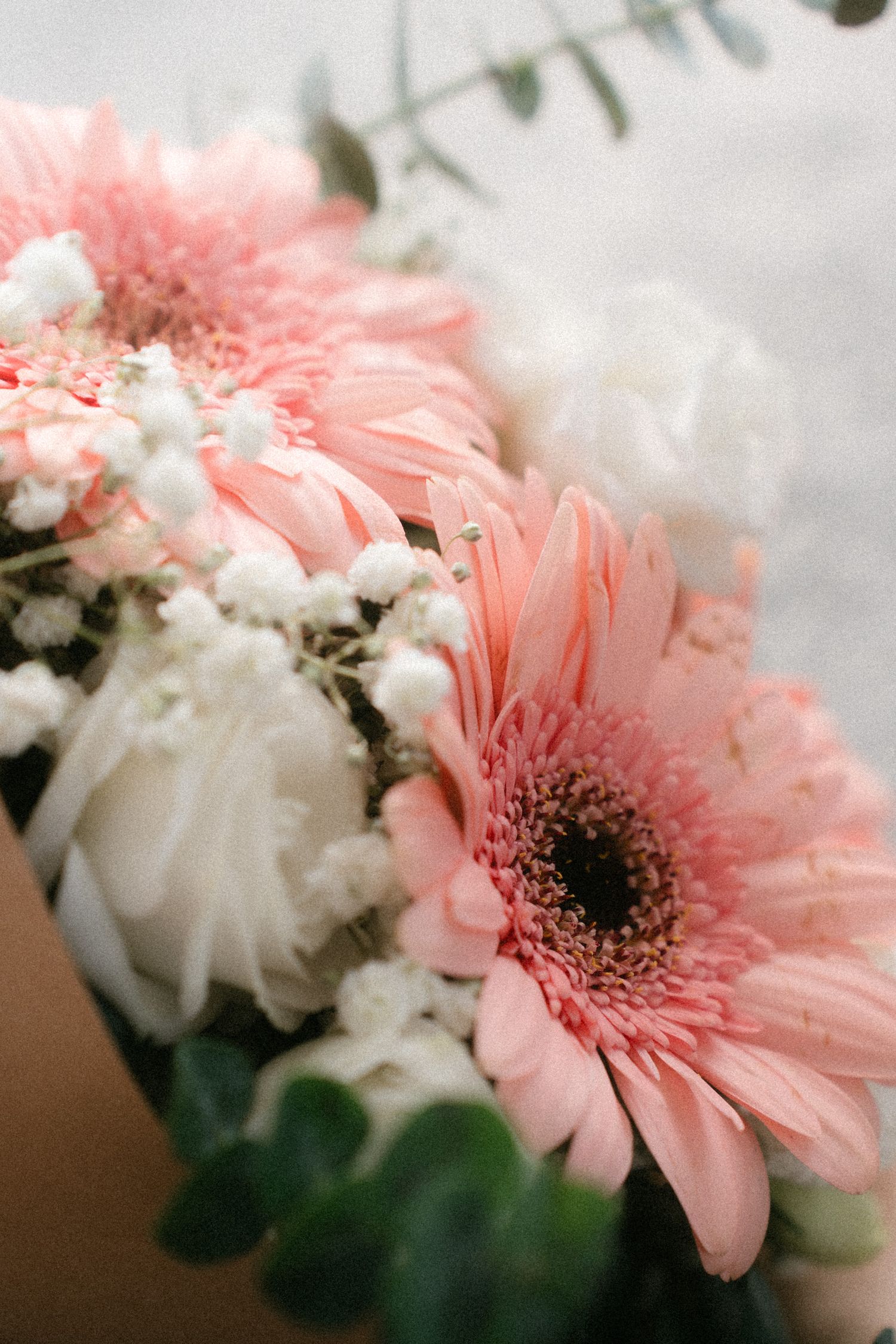 A soft and dreamy arrangement of pink gerbera daisies and white flowers with blurred edges in natural light.