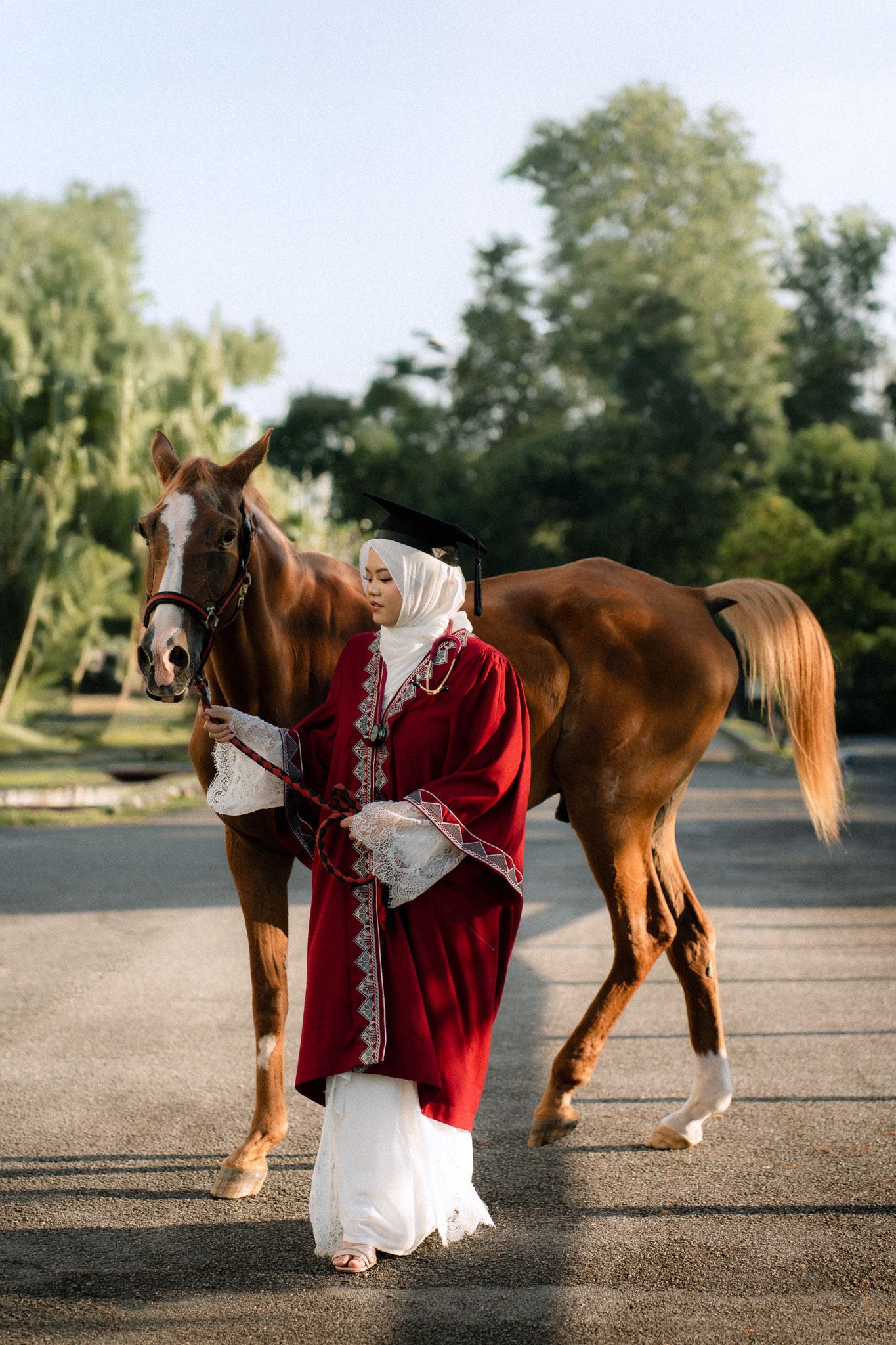 Muslim woman in red graduation gown and hijab poses with chestnut horse outdoors in sunny park setting.