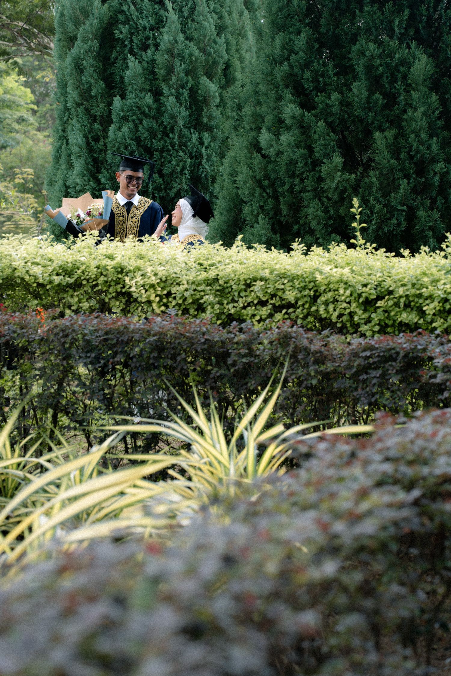 A garden scene with tall cypress trees and ornamental shrubs framing a decorative outdoor space.