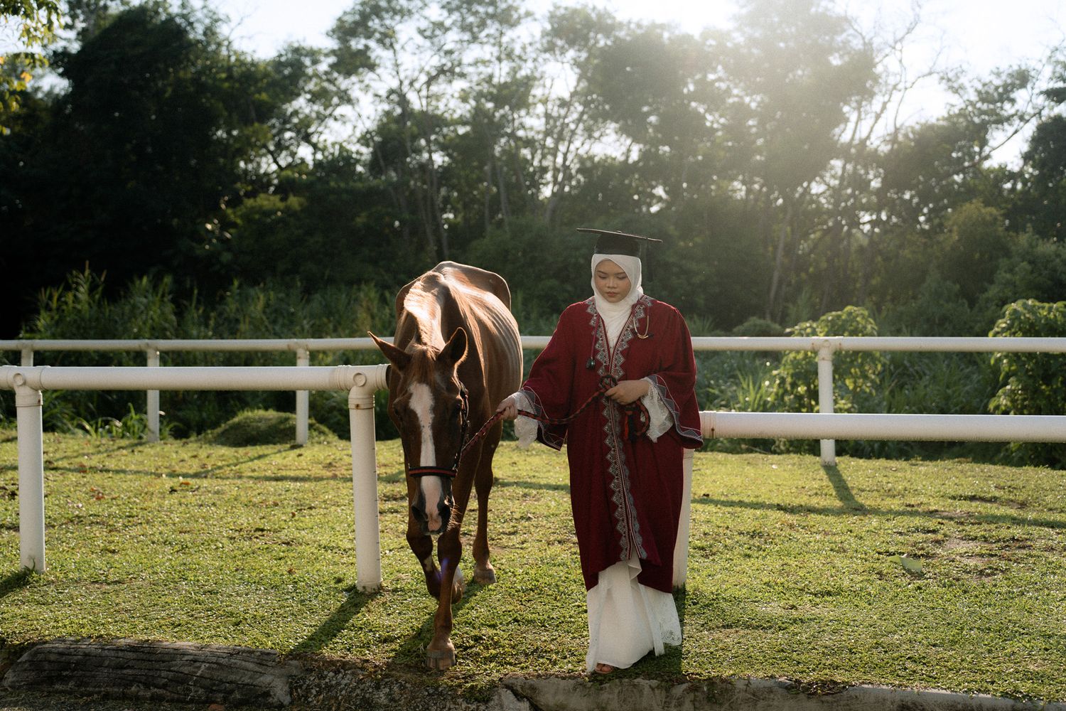 Person in red and white ceremonial robes leading a brown horse in a sunny green paddock with white fence.