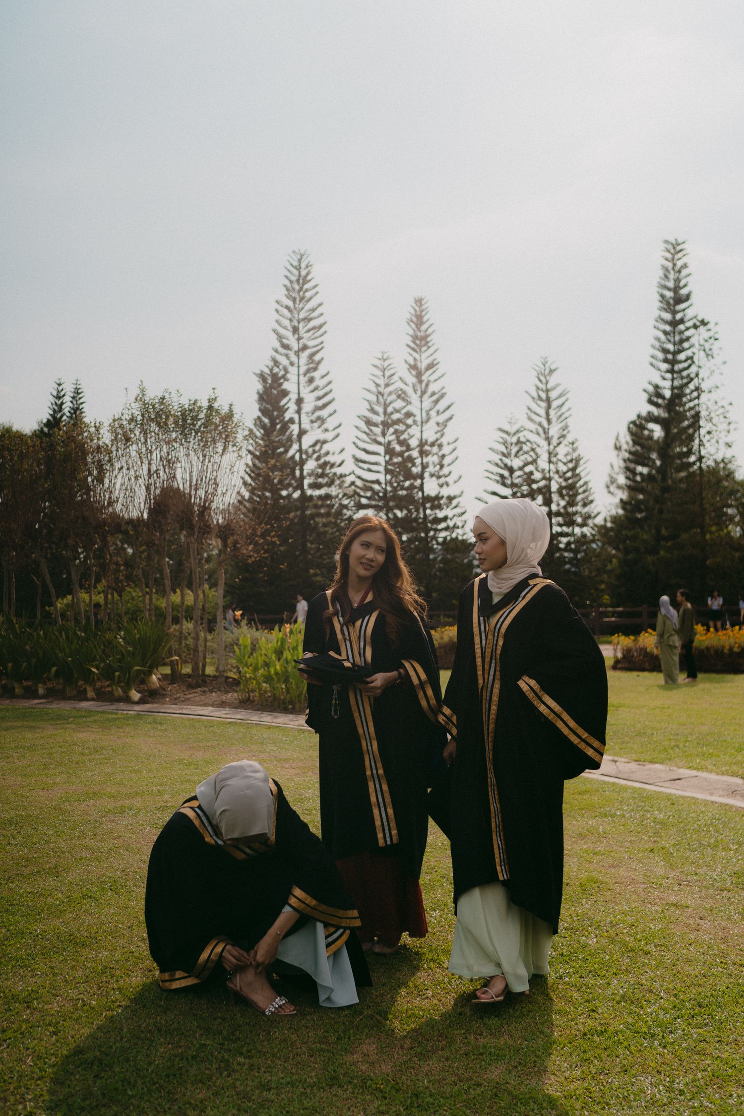 A group of graduates in black robes take photos together on a lawn with evergreen trees.