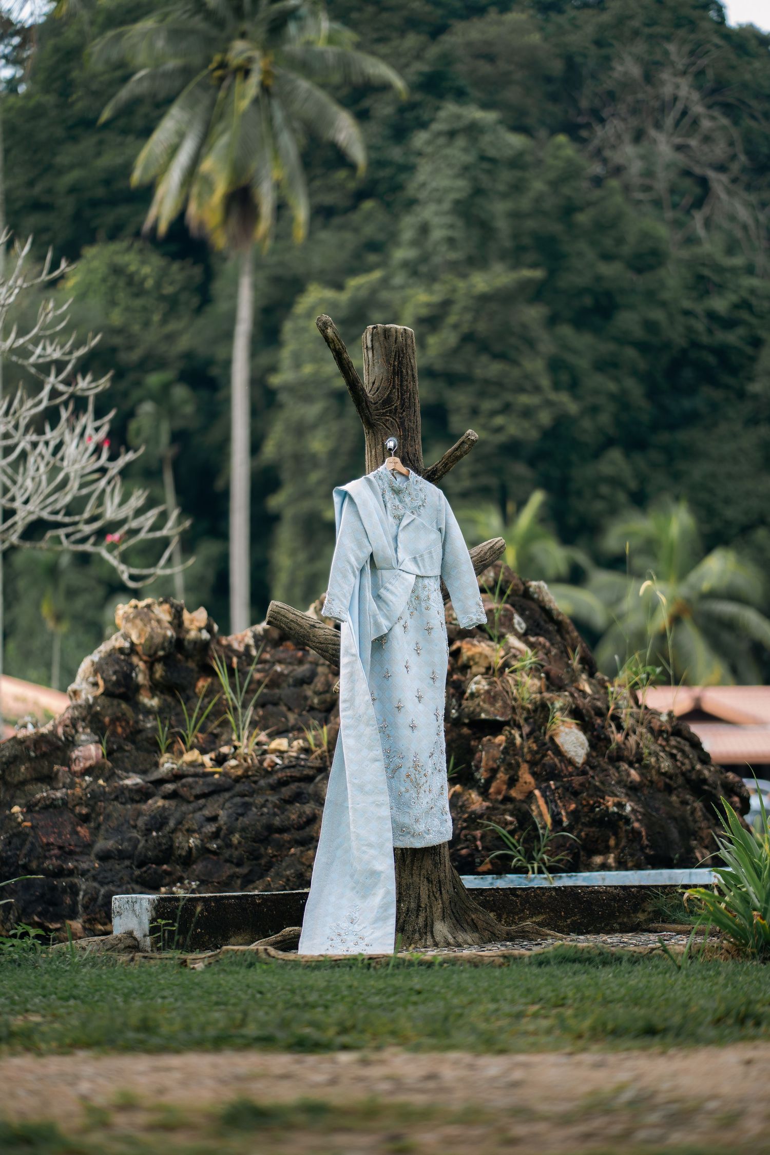 White dress shirt hangs on a palm tree trunk against lush tropical foliage in an outdoor setting.