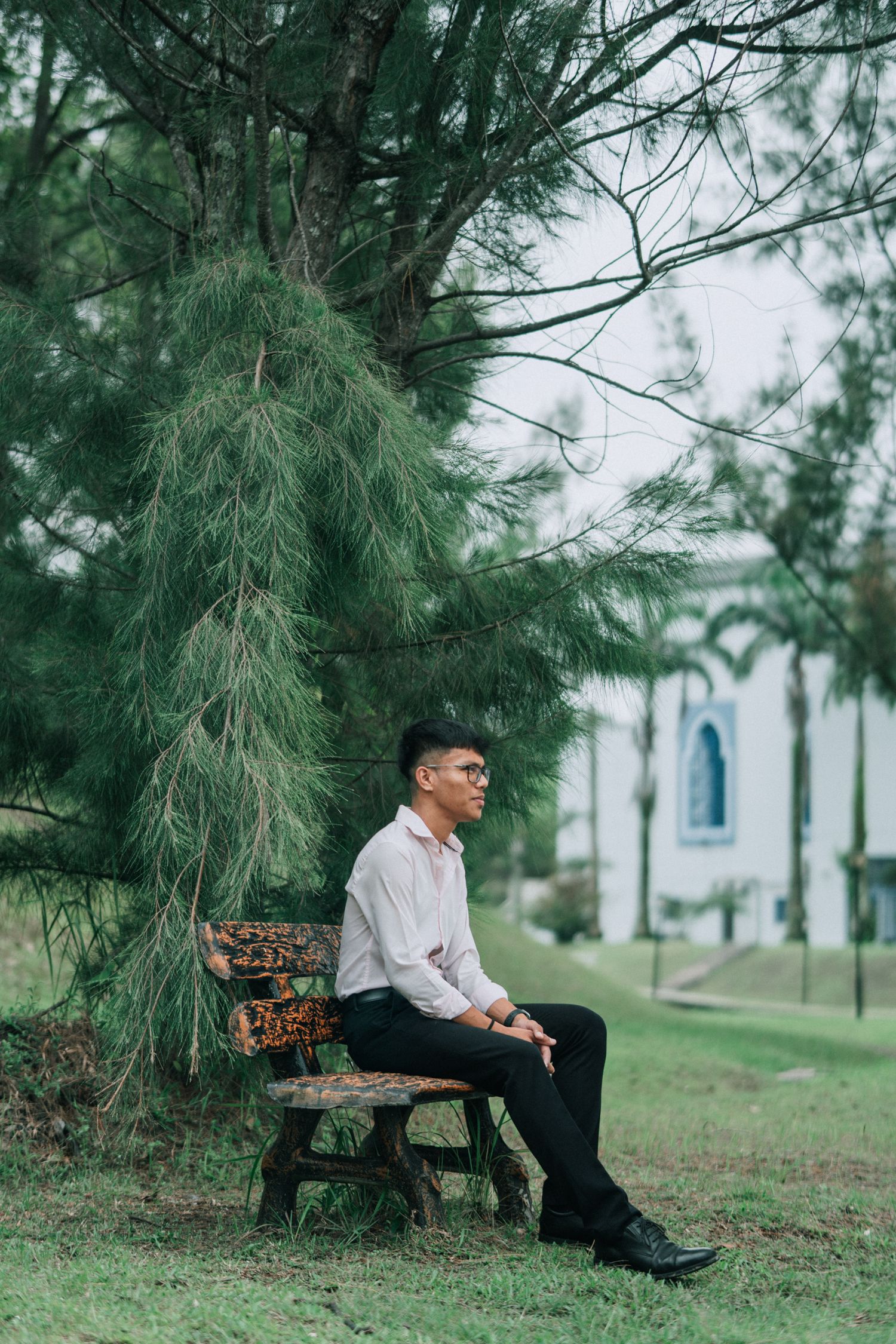 A person in formal attire sits contemplatively on a wooden bench under a large pine tree in a peaceful outdoor setting.