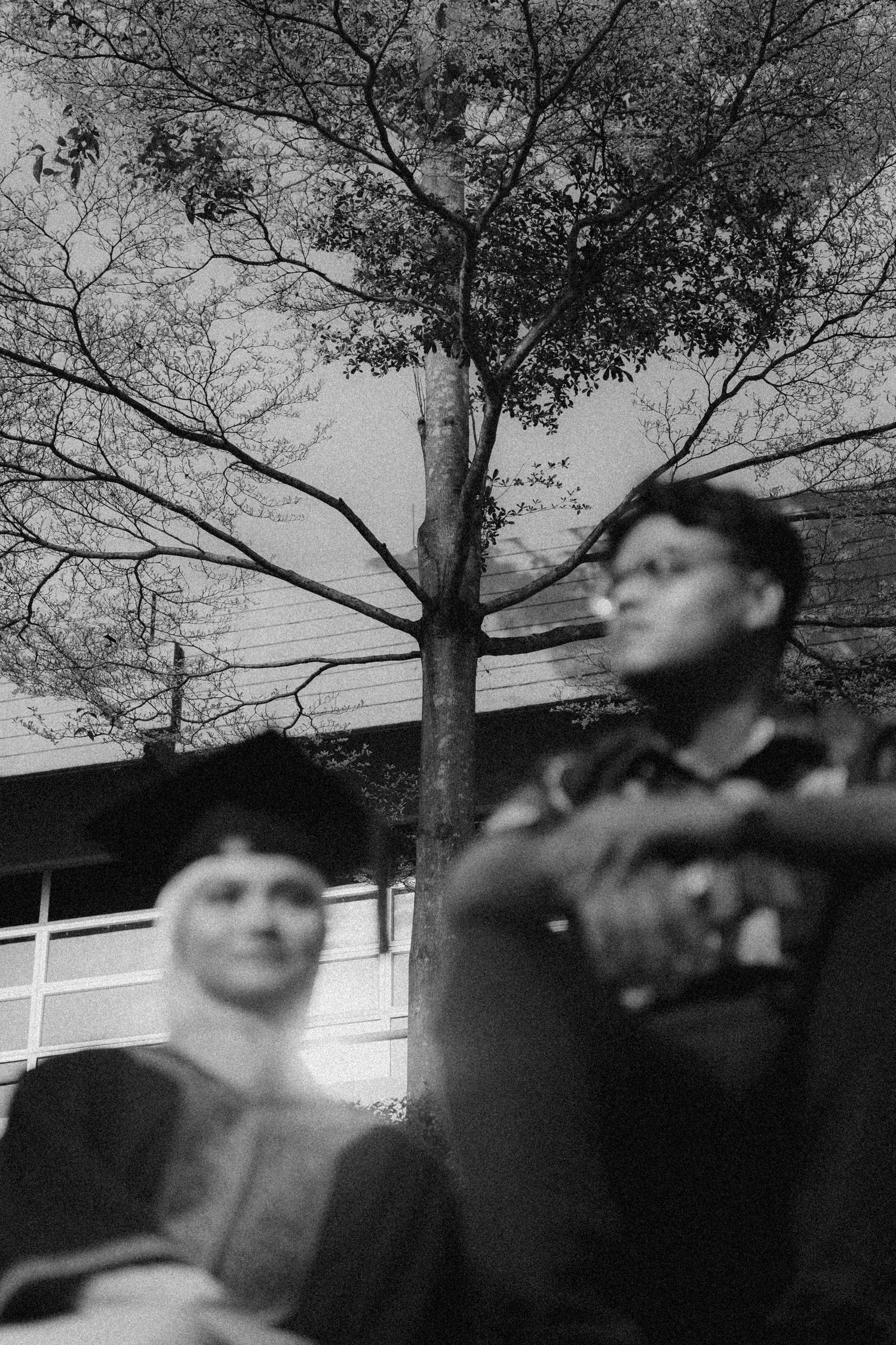 A black and white low-angle photograph showing people outdoors beneath a tall tree silhouetted against an overcast sky.