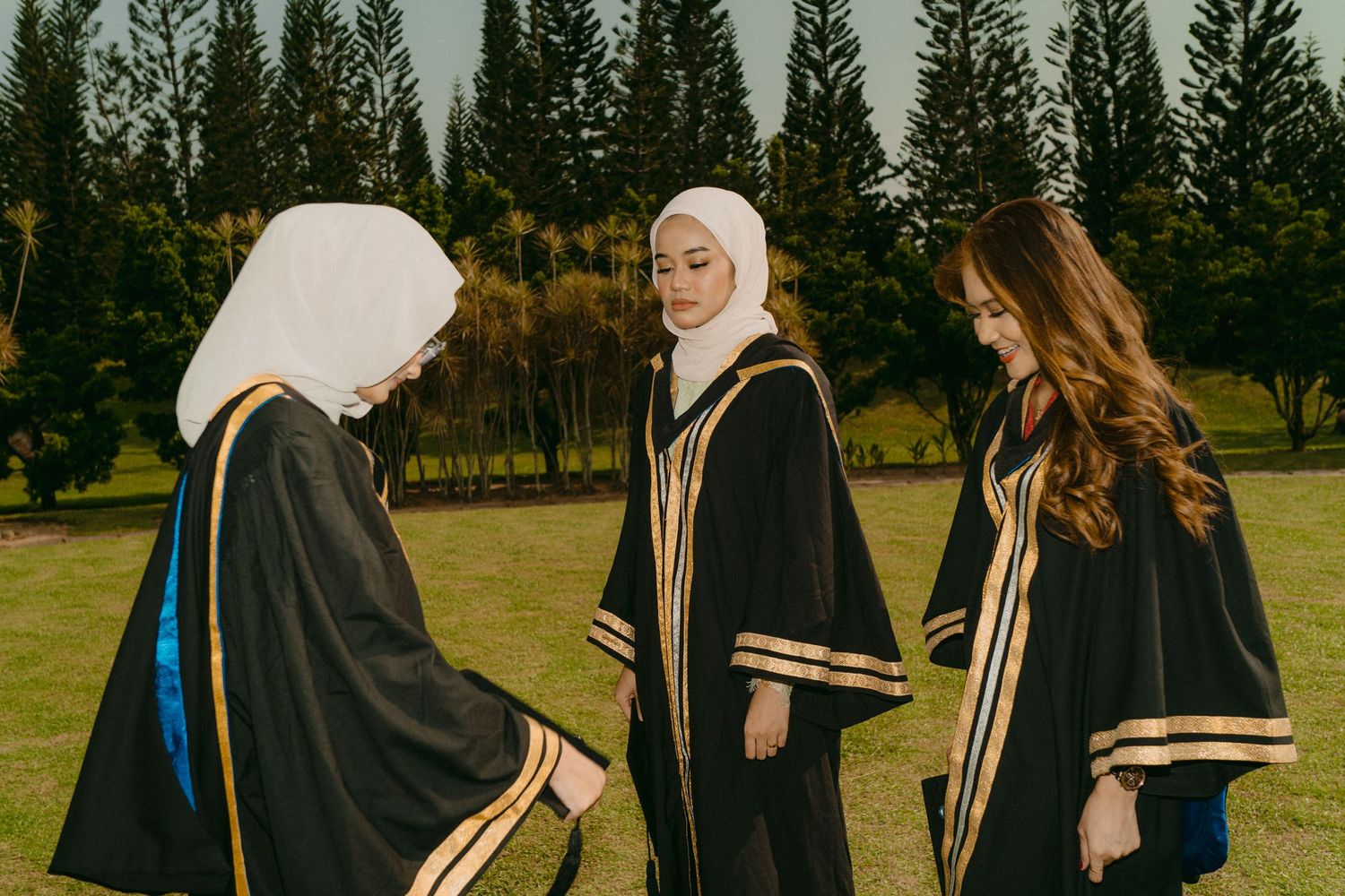 Graduates in black academic regalia with gold trim stand together on a grassy lawn with pine trees in the background.