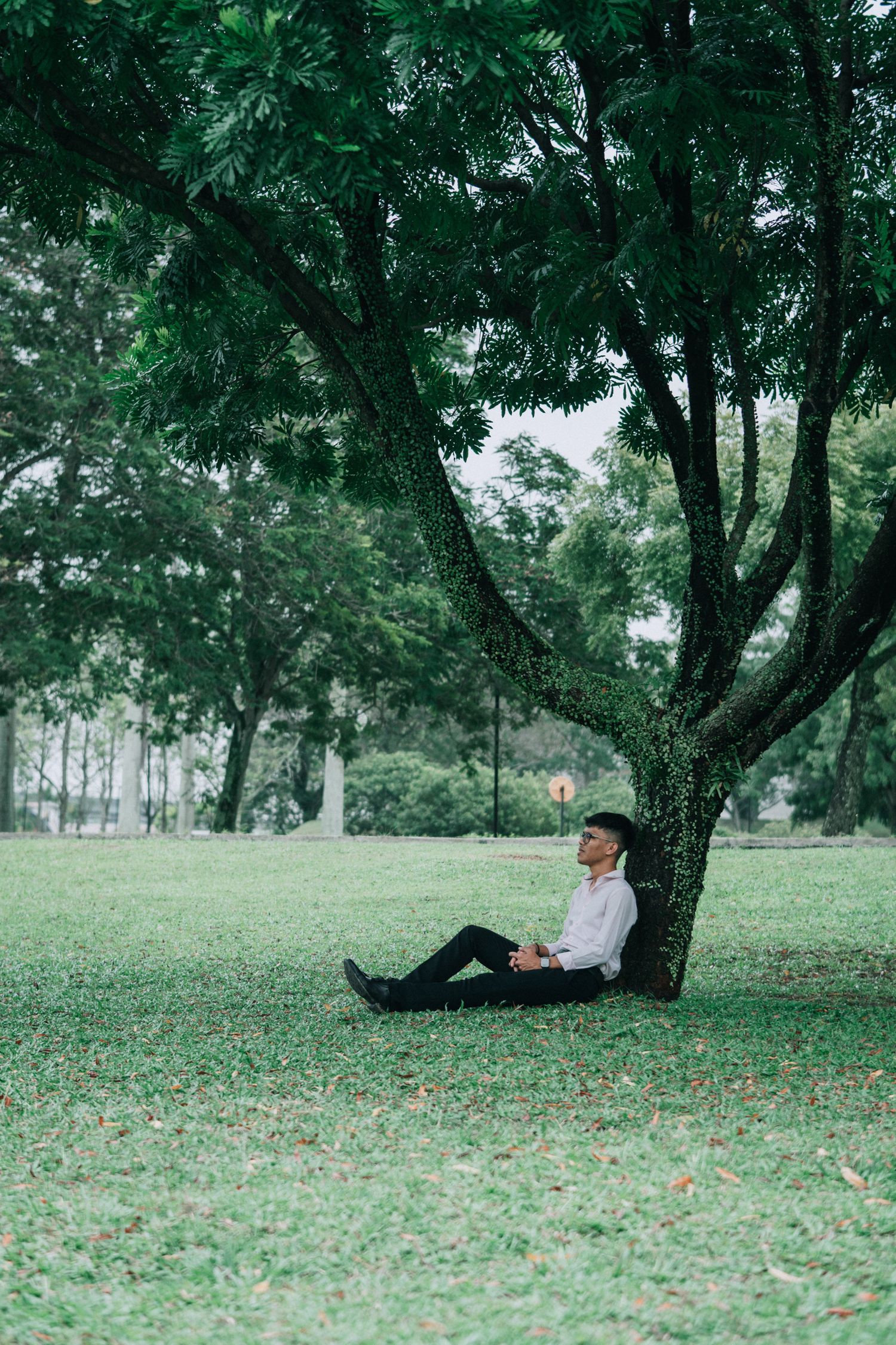Someone relaxes on grass under a leafy green tree in a serene park setting.