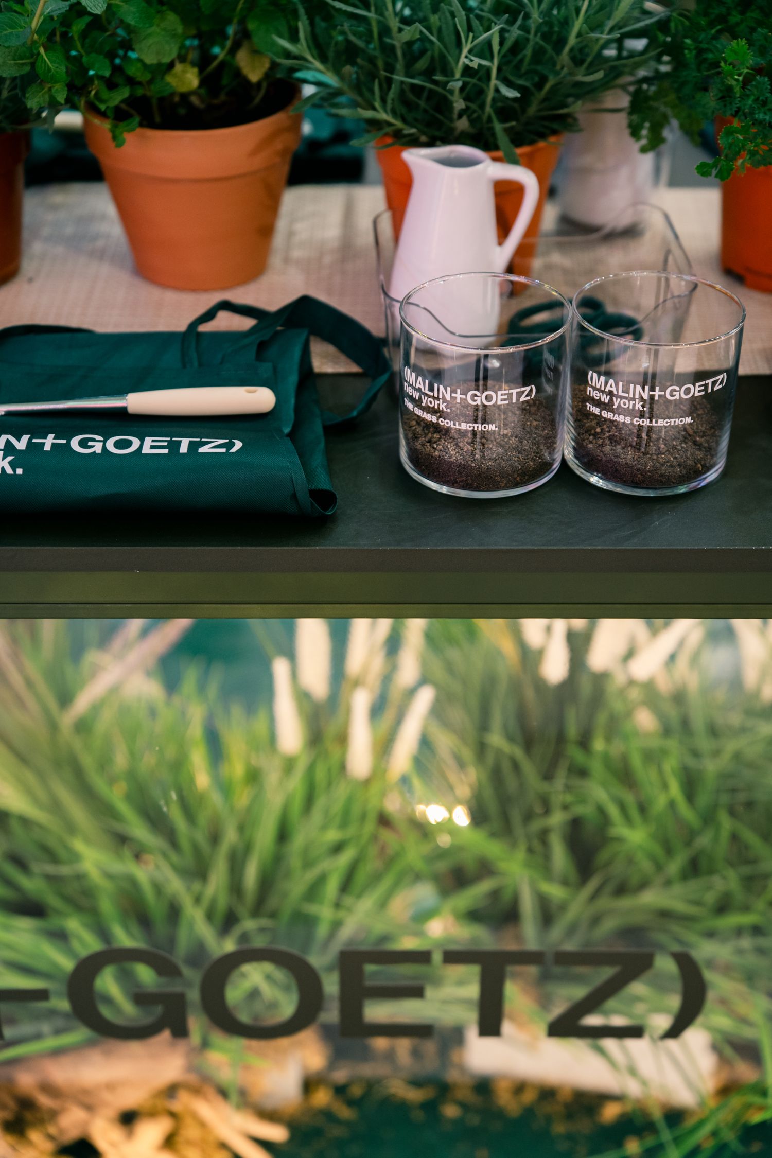 Malin+Goetz branded merchandise display with glassware and pink pitcher among potted plants.