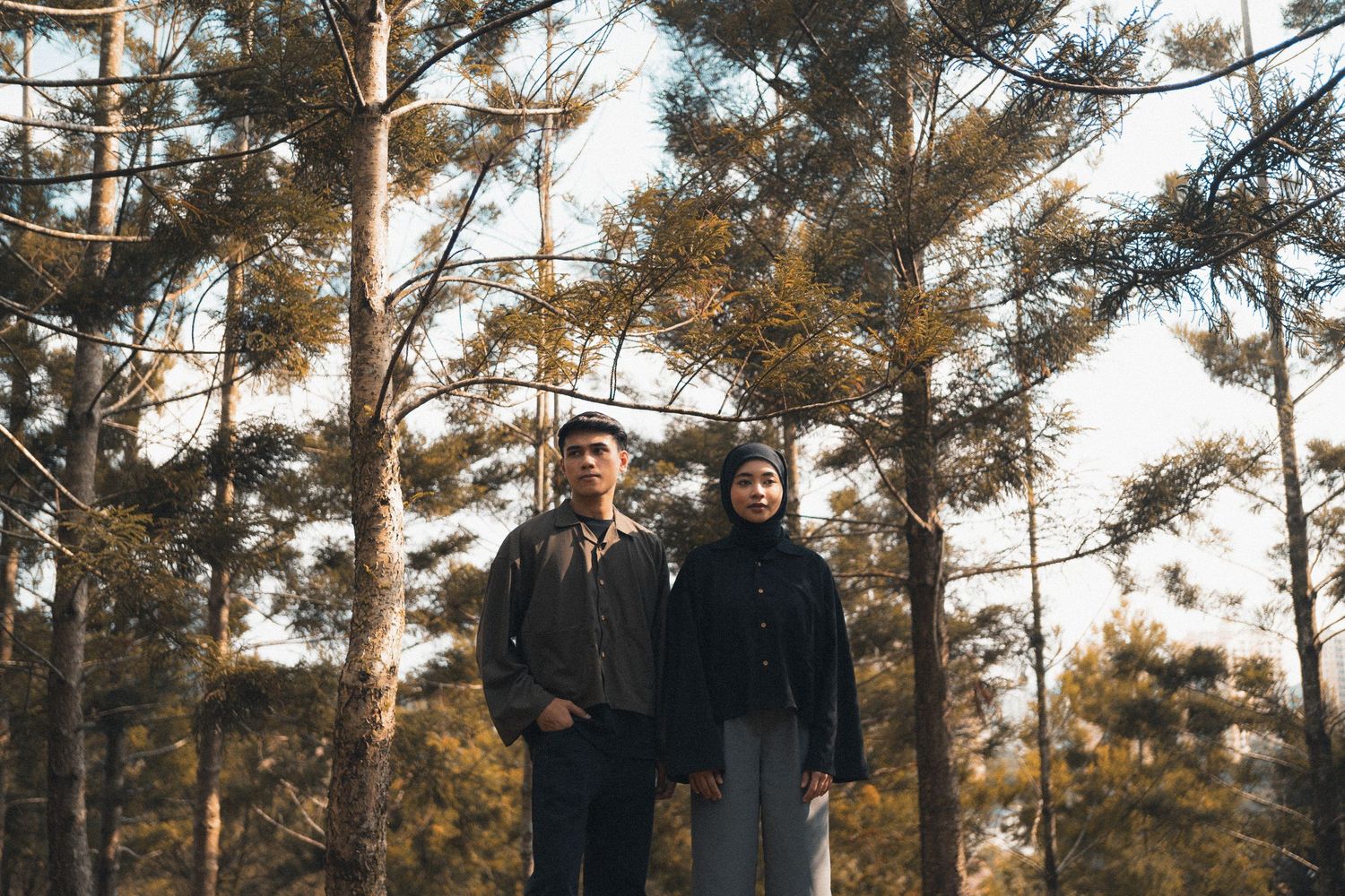 Stylish couple poses together in a serene pine forest during golden hour.