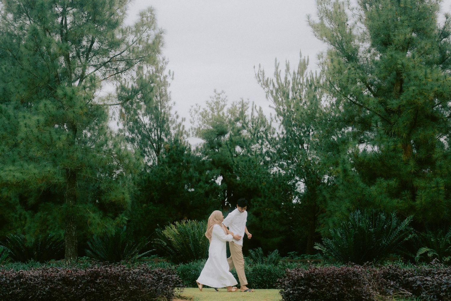 A couple walks hand in hand along a garden path surrounded by tall pine trees.