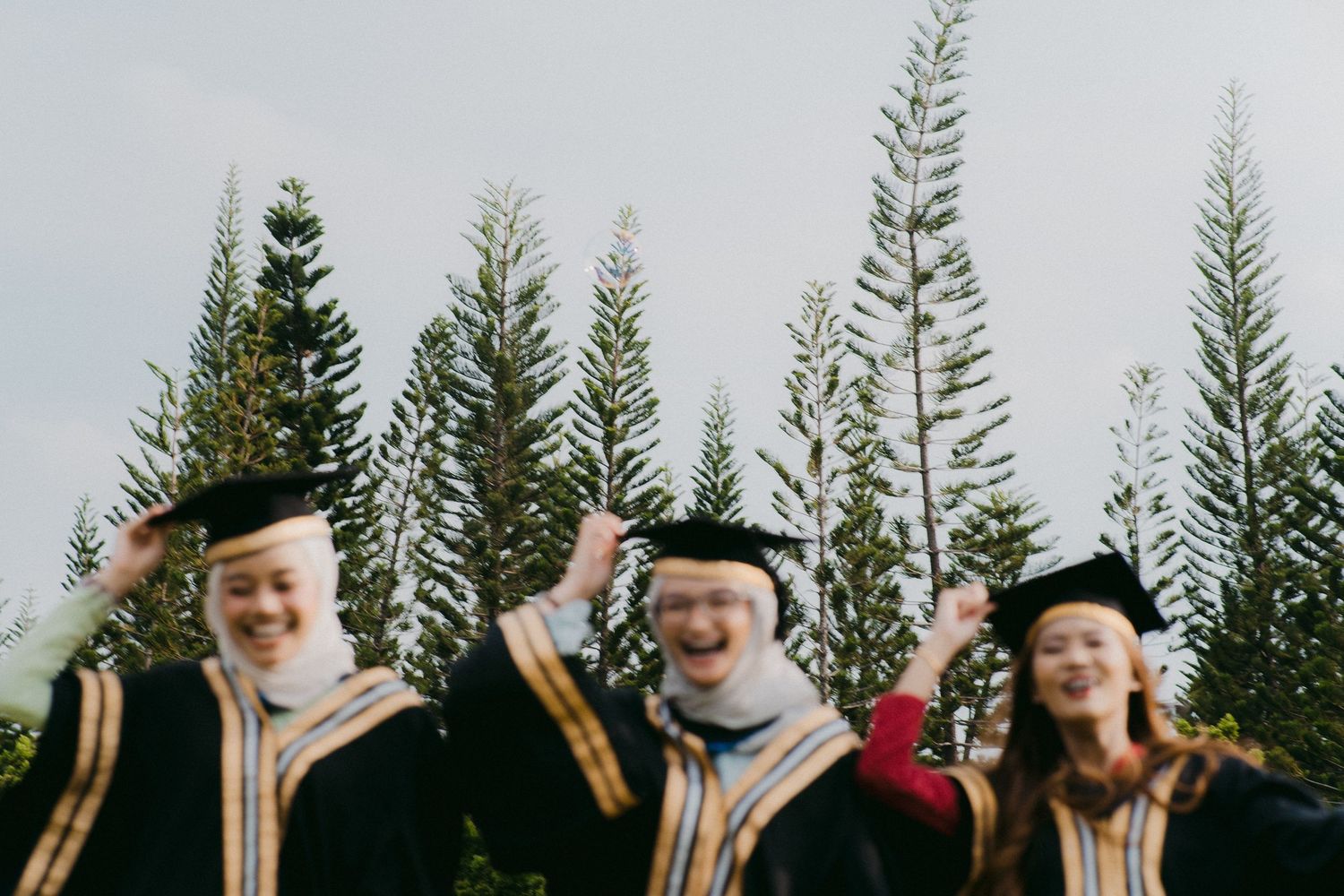 Graduates in academic regalia celebrate with raised arms against a backdrop of tall pine trees.