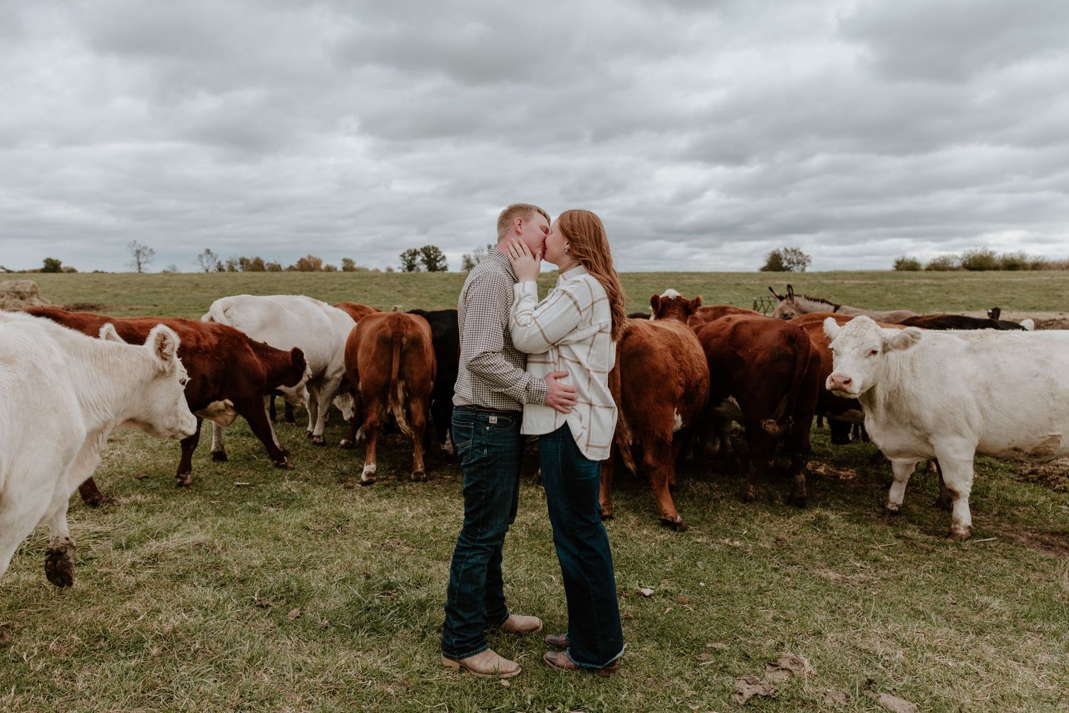 A romantic couple embraces in a field surrounded by a herd of Hereford and white cattle under cloudy skies.