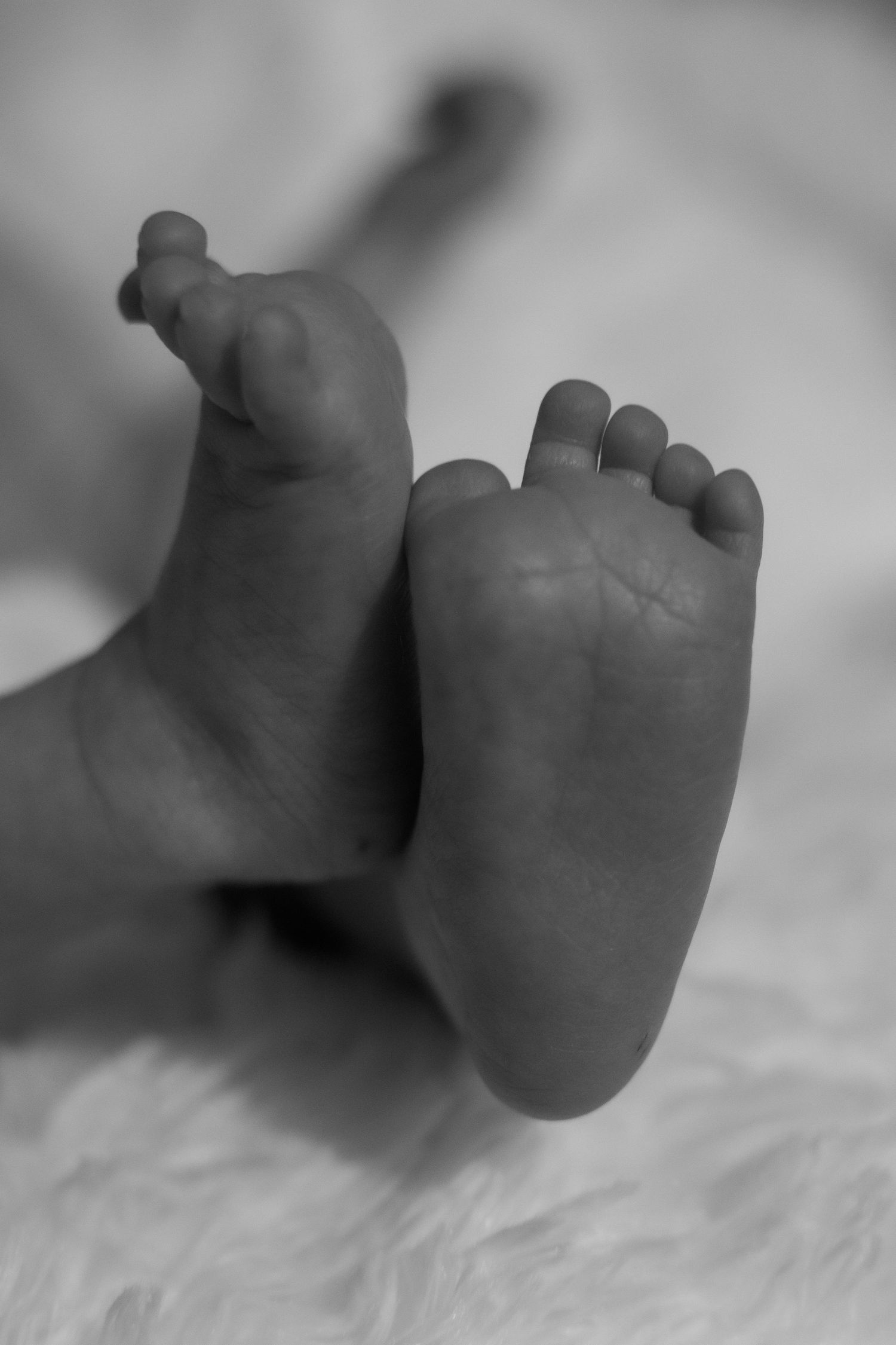Close-up black and white photo of tiny baby feet against soft fabric.