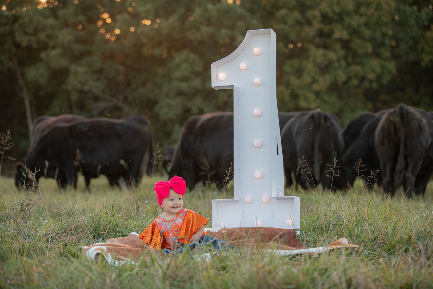 Outdoor first birthday setup with illuminated number one and grazing cattle in background.