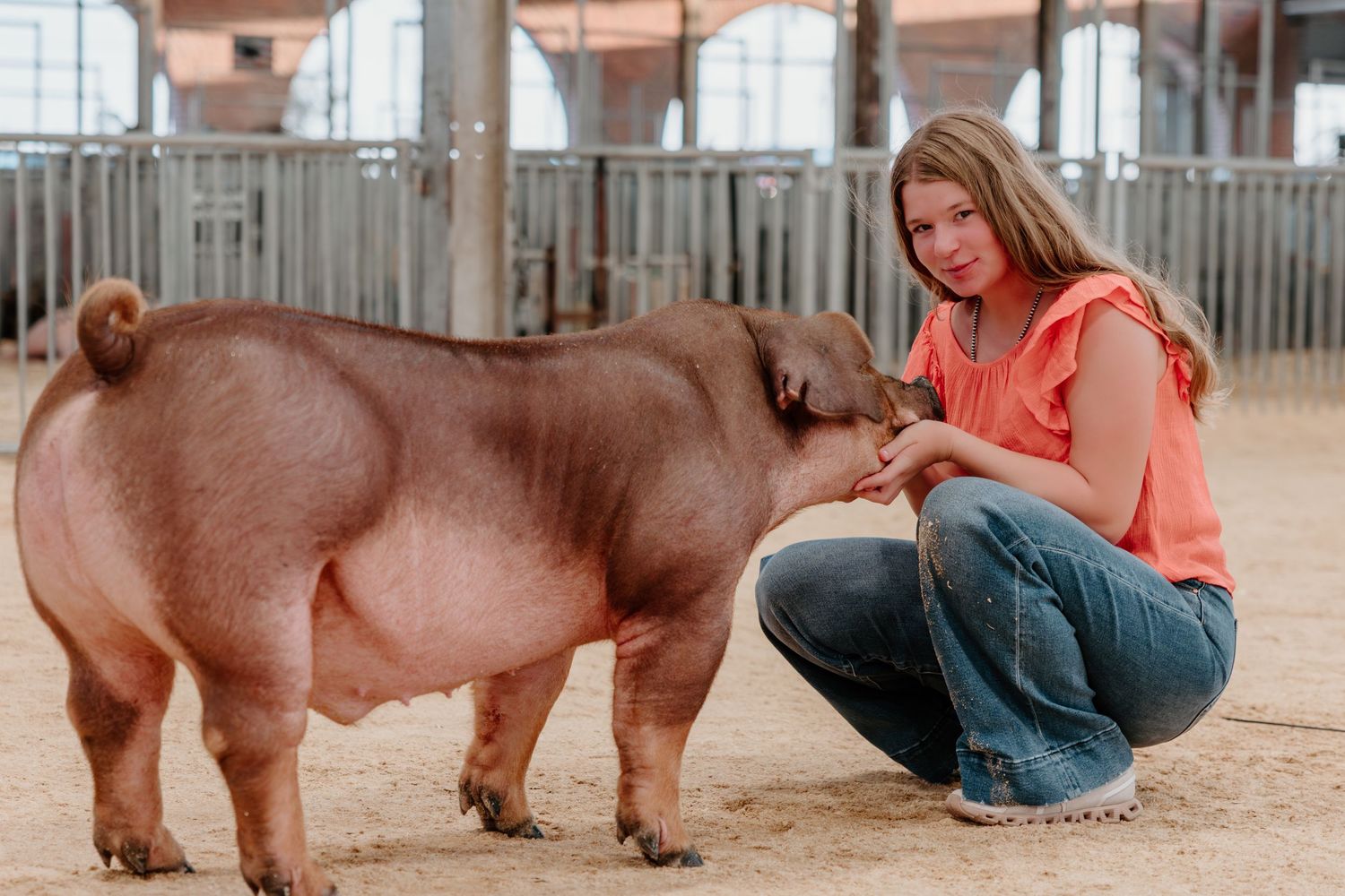A person in blue jeans and coral shirt interacts with a group of pigs in a fenced enclosure.