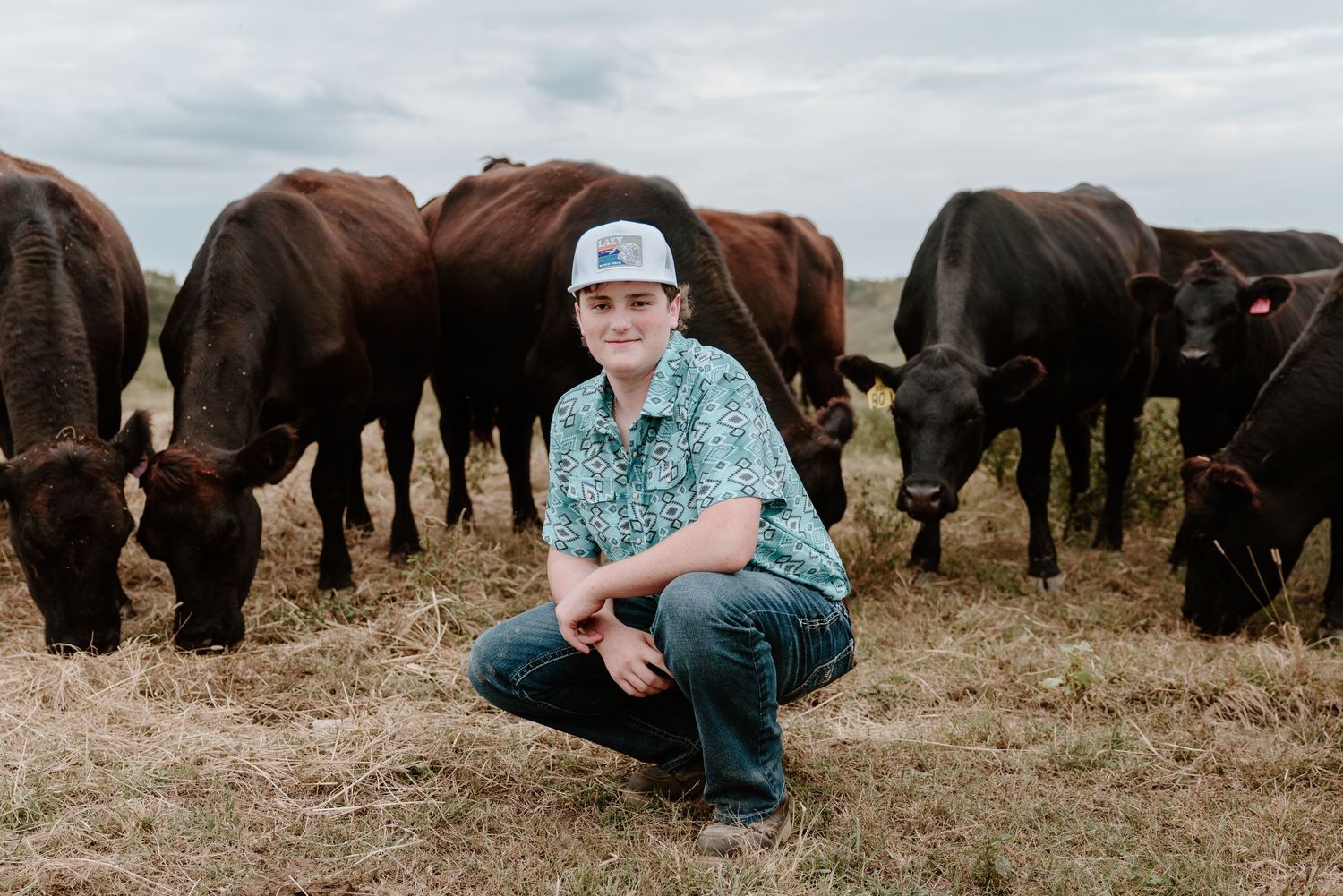 A group of buffalo graze on dry grassland while someone in a blue jacket sits nearby observing them.