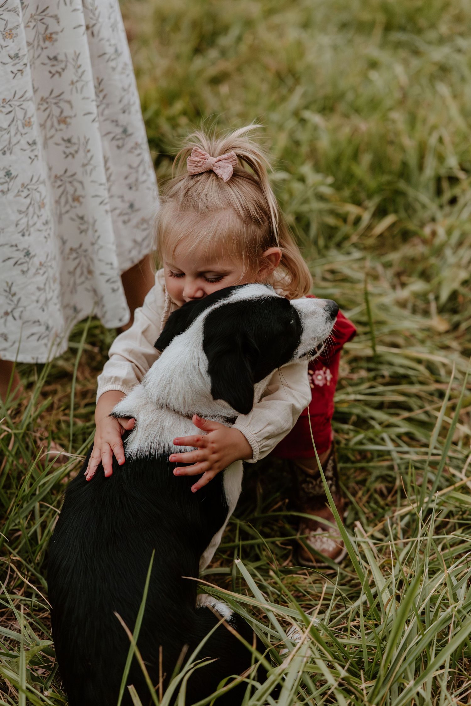 A child in a white dress hugs a black and white border collie dog while sitting in tall grass.