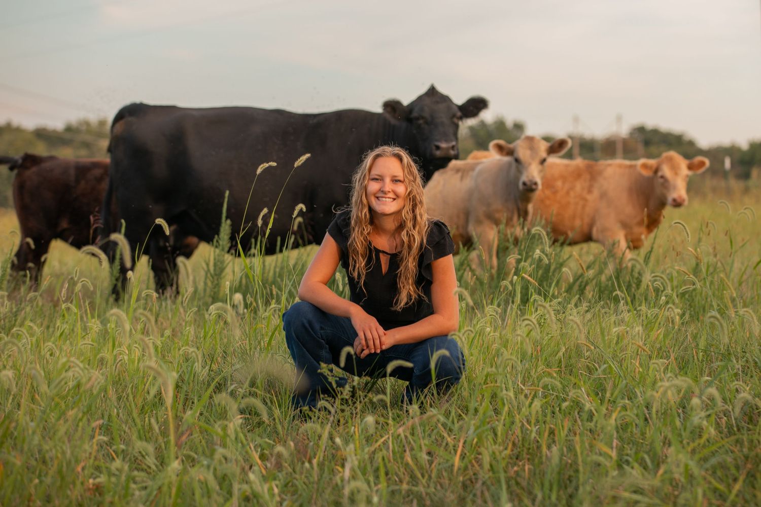 Person crouched in a field with cattle grazing in the background.