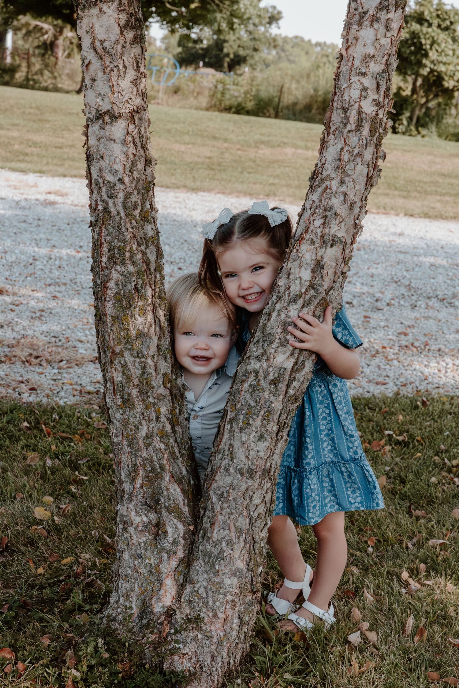 A series of candid shots showing a small child playing and peeking between tree trunks in a grassy outdoor setting.