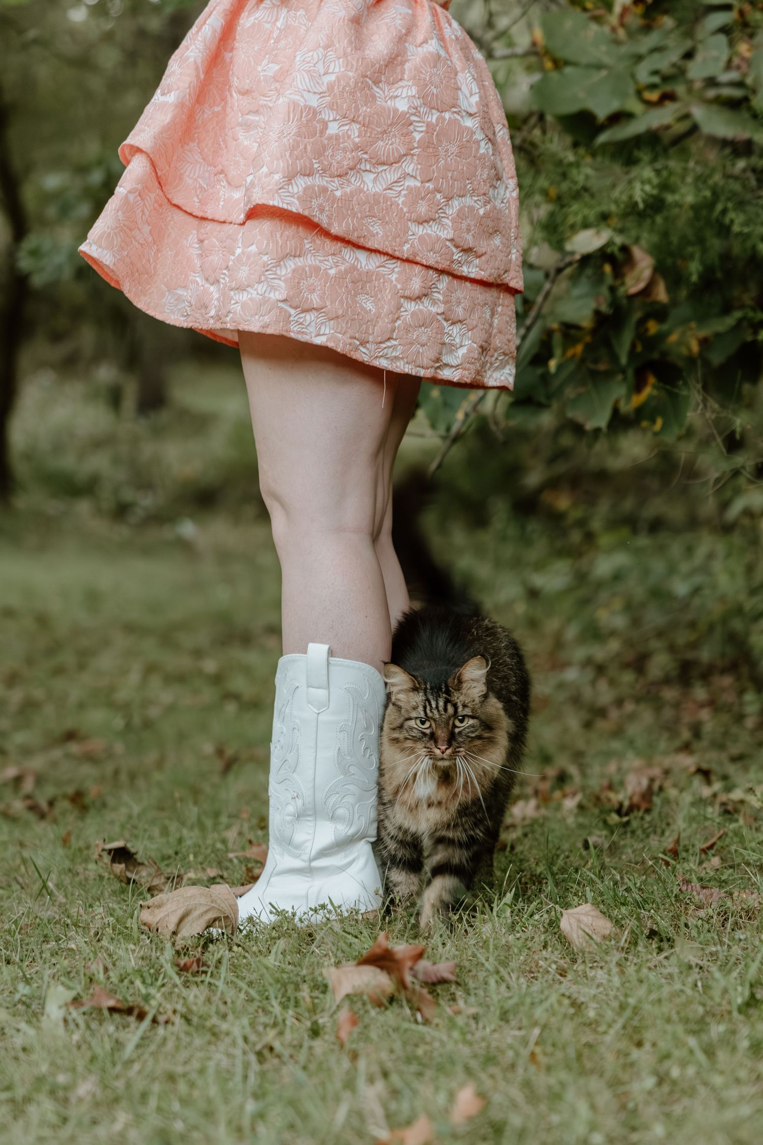 A fluffy tabby cat sits beside white cowboy boots worn with a pink dress on grass with fallen leaves.