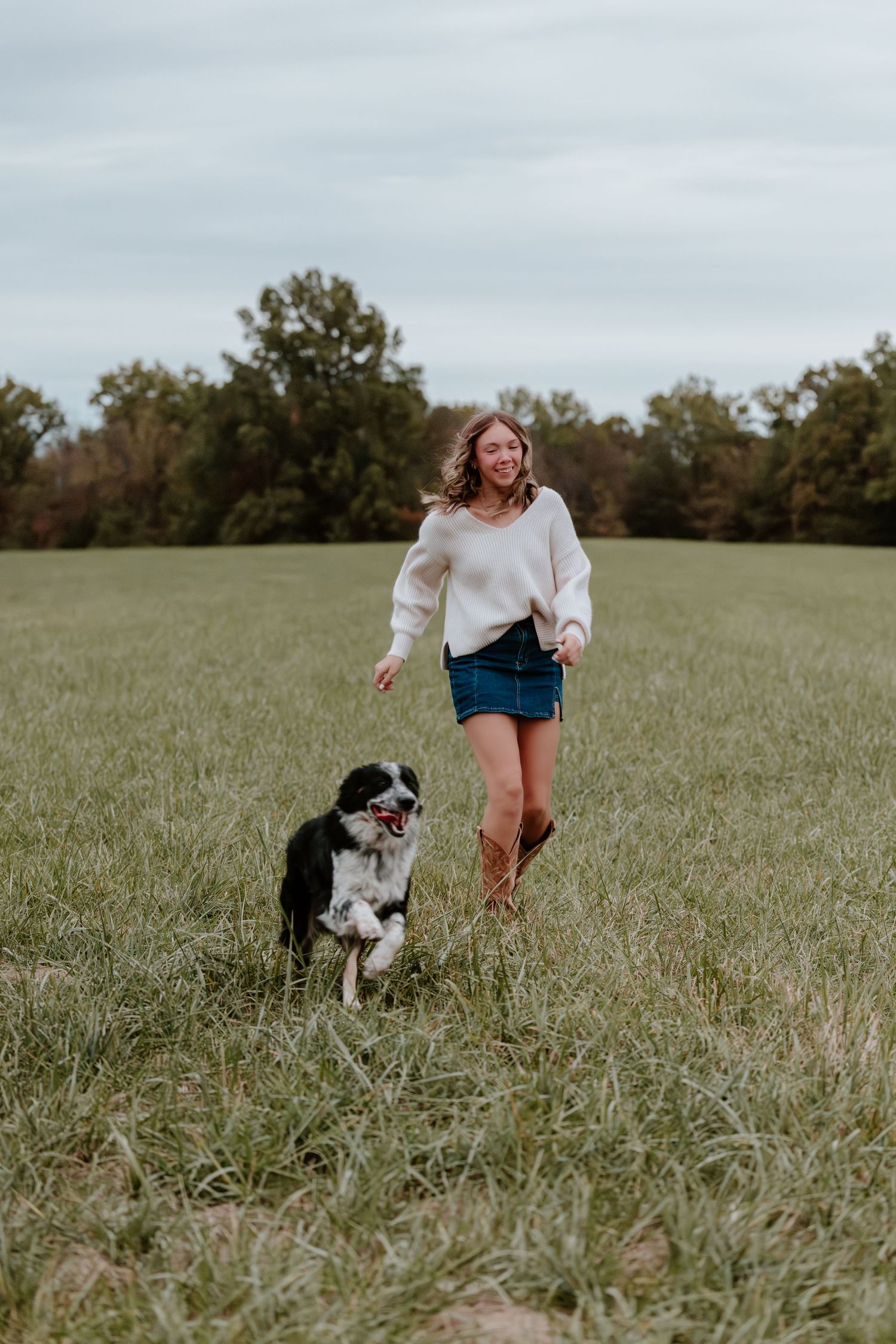 A person in a white sweater and denim shorts plays with a black and white dog in a grassy field.