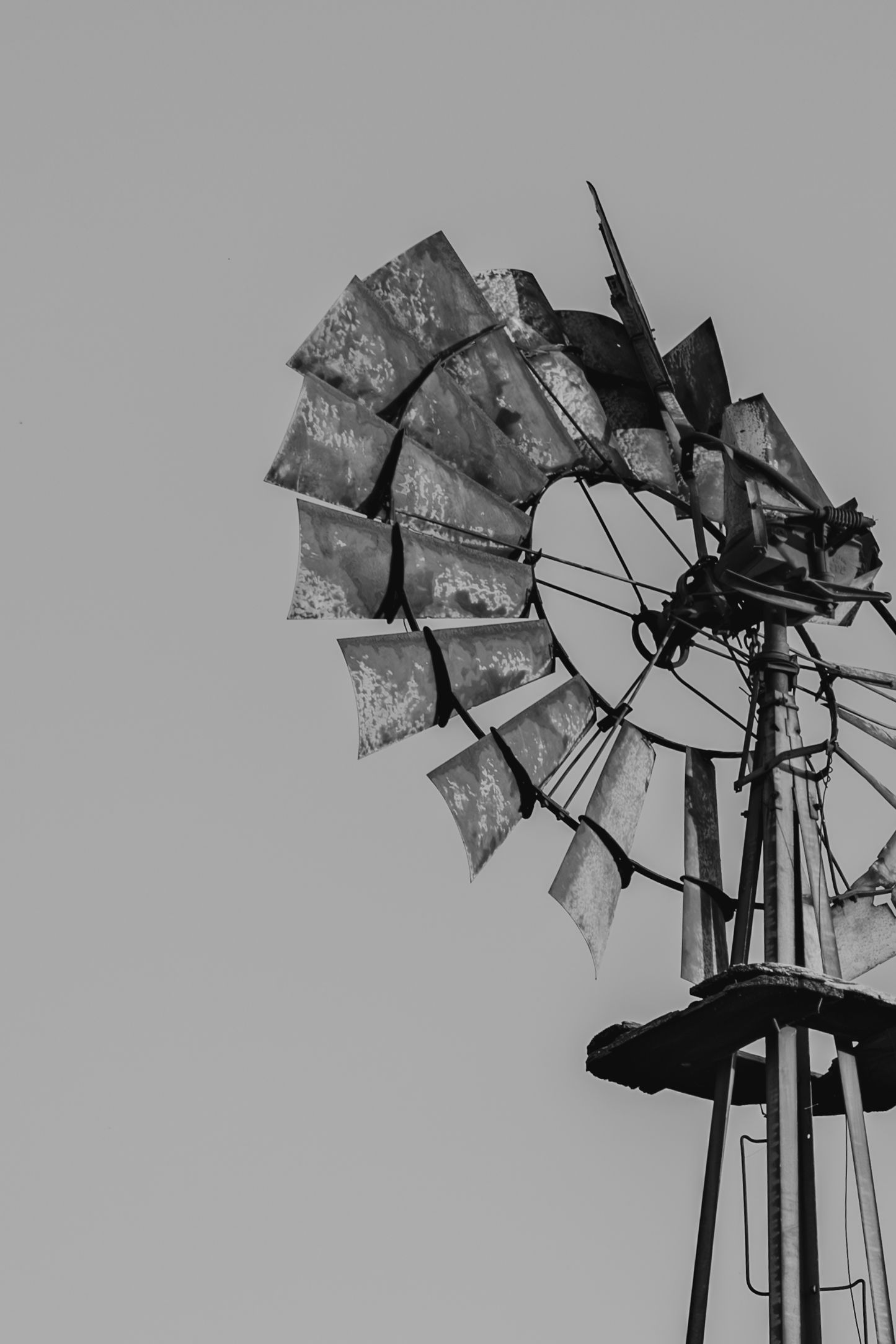 A black and white photo sequence showing a windmill blade progressively breaking apart in strong winds.