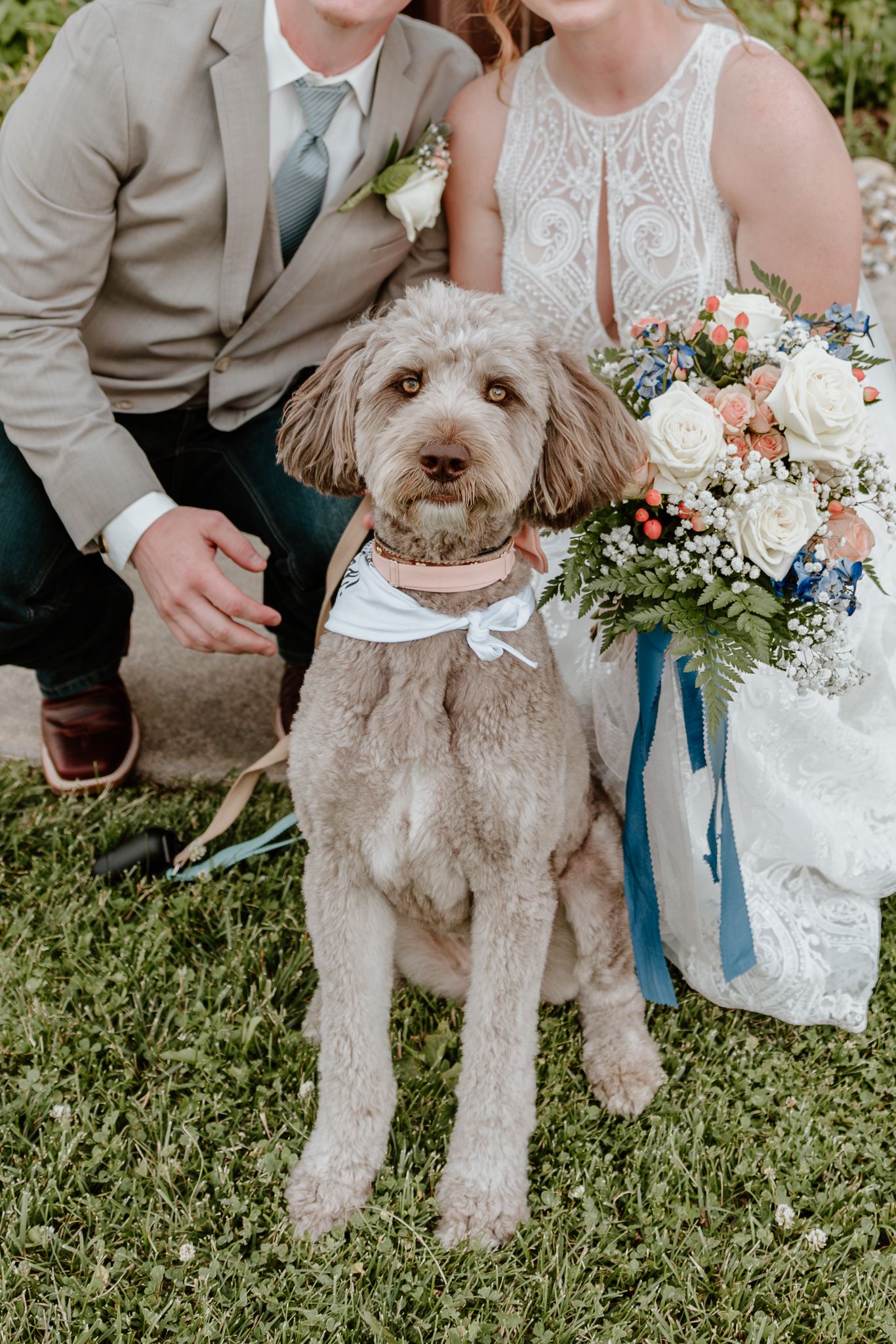 A fluffy goldendoodle dog wearing a white bandana sits on grass with a wedding couple holding a colorful bridal bouquet.