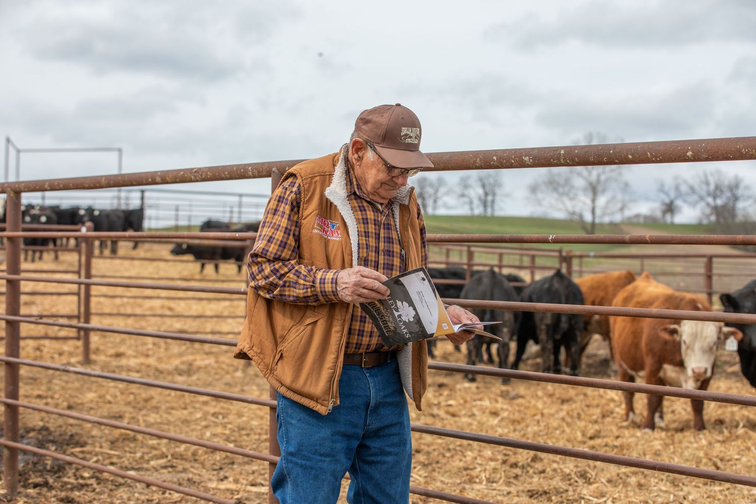 Rancher in brown jacket and jeans checks paperwork while standing by cattle pen.