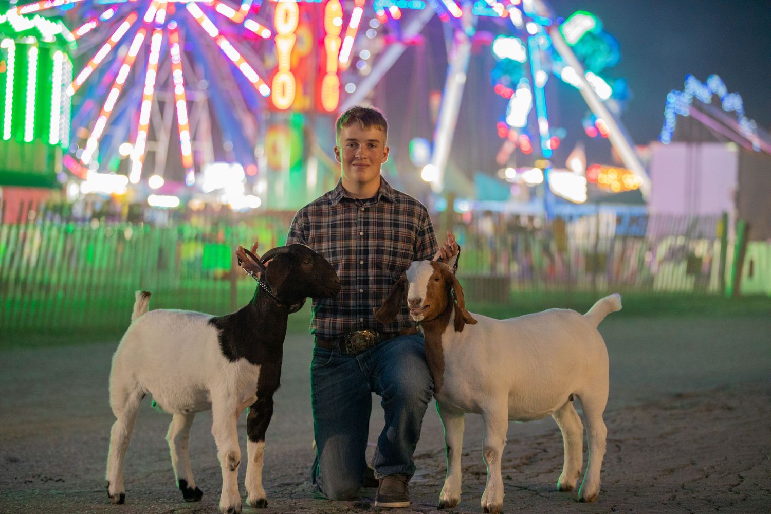 Person in plaid shirt poses with two white goats at county fair with colorful lights in background.