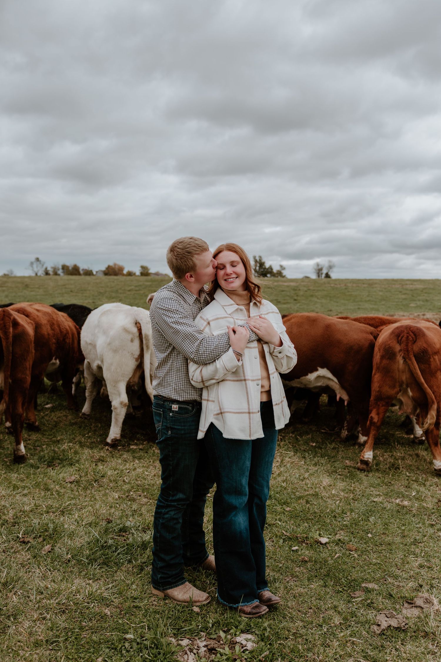 A couple shares joyful laughter in a field with grazing cattle in the background.