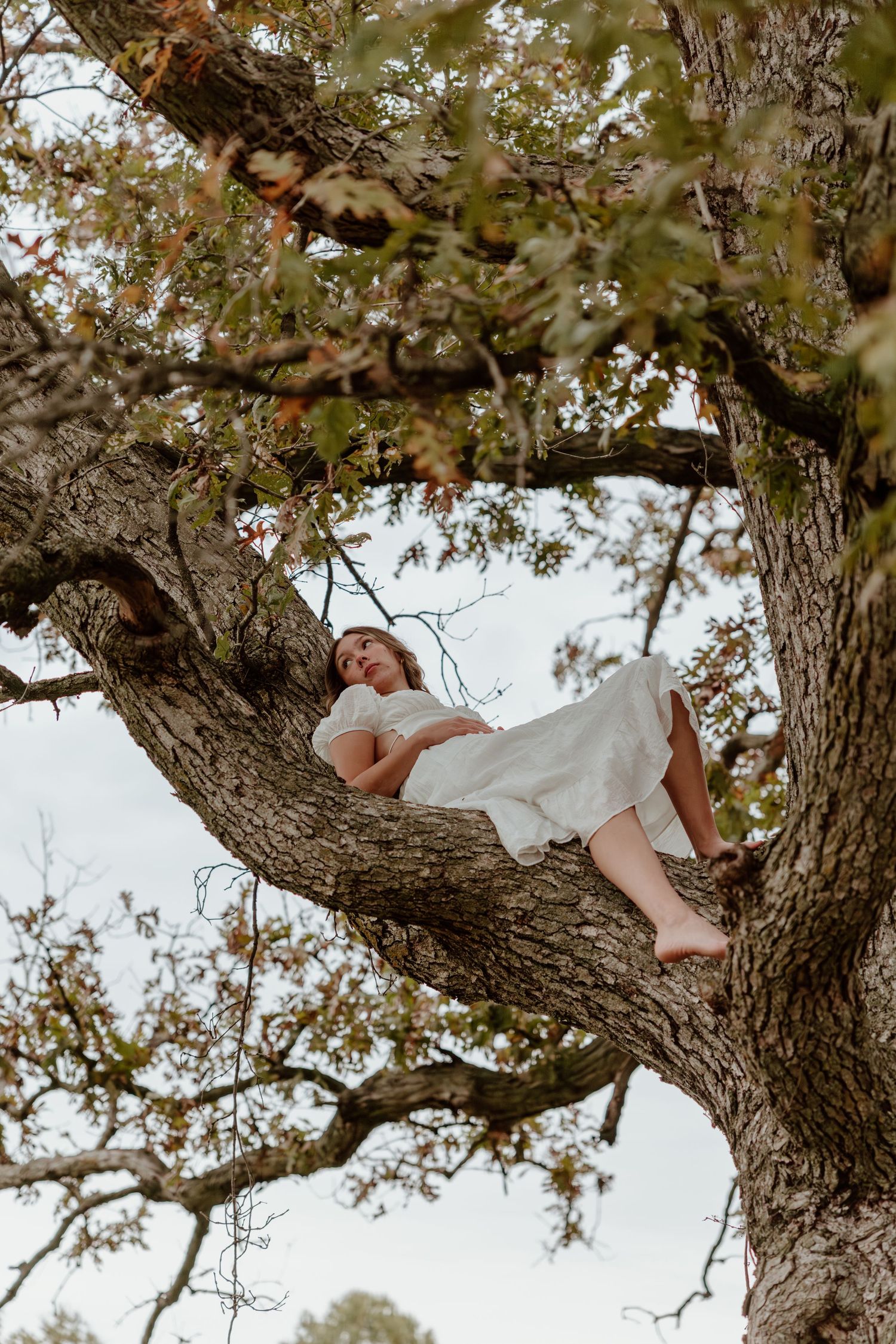 A person wearing white reclines peacefully in the curved branches of a large oak tree during a dreamy outdoor photoshoot.
