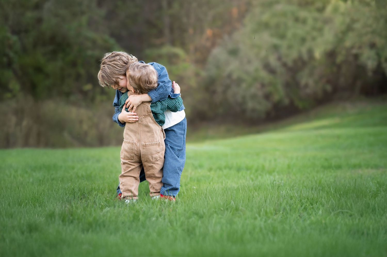 two little boys with curly hair hug each other while standing in a field of green grass during a family portrait session in Morgantown, WV