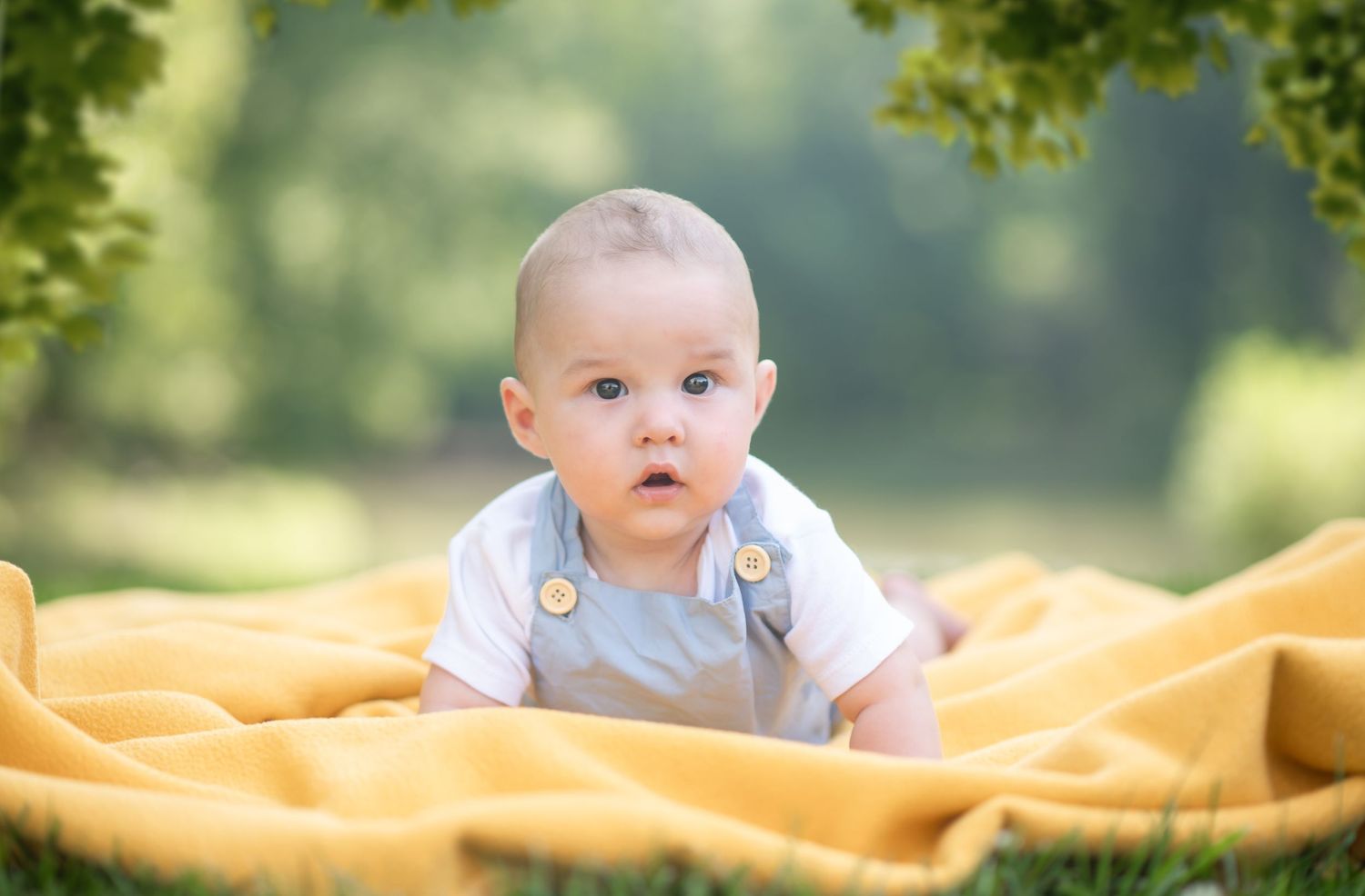 a little toddler boy lies on his belly on a yellow blanket with trees in the background