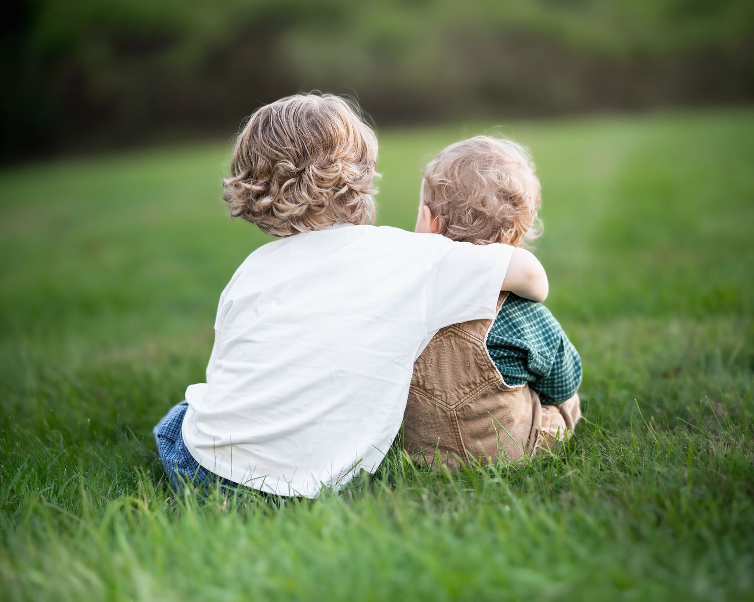 two little boys sit side by side in a field of lush green grass with arms around each other during a family portrait session in Morgantown