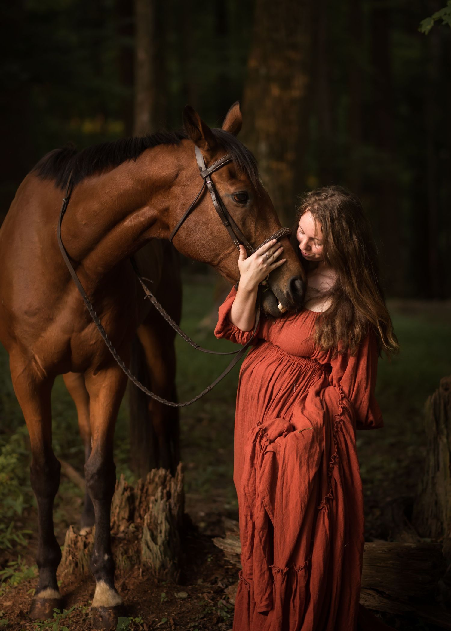 golden hour portrait of a young woman in a long dramatic rust colored dress, posing with a beautiful brown horse with forest background