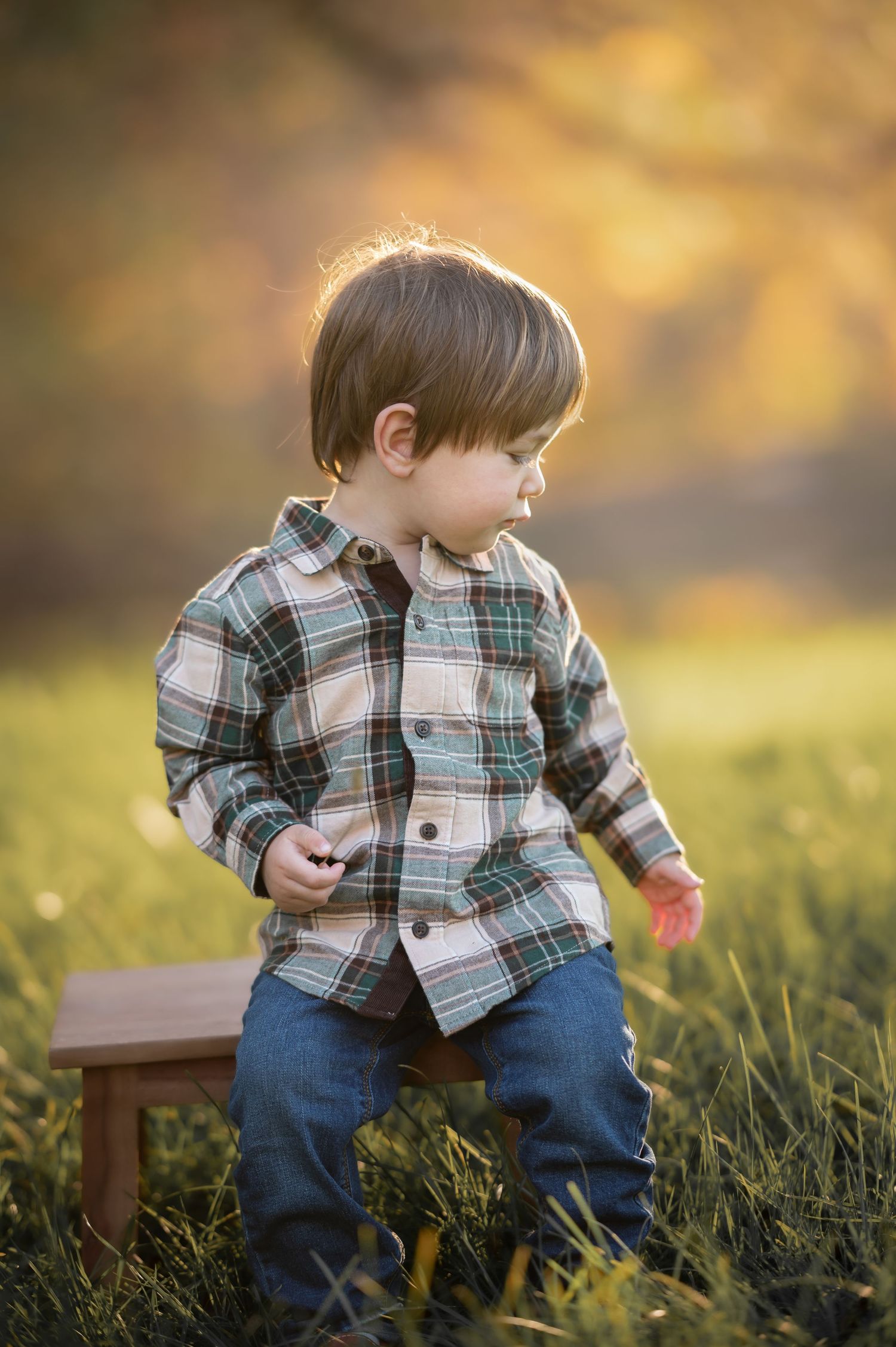 a little brown haired boy in a plaid shirt sits on a wood bench in the grass and looks to the side as he holds a leaf