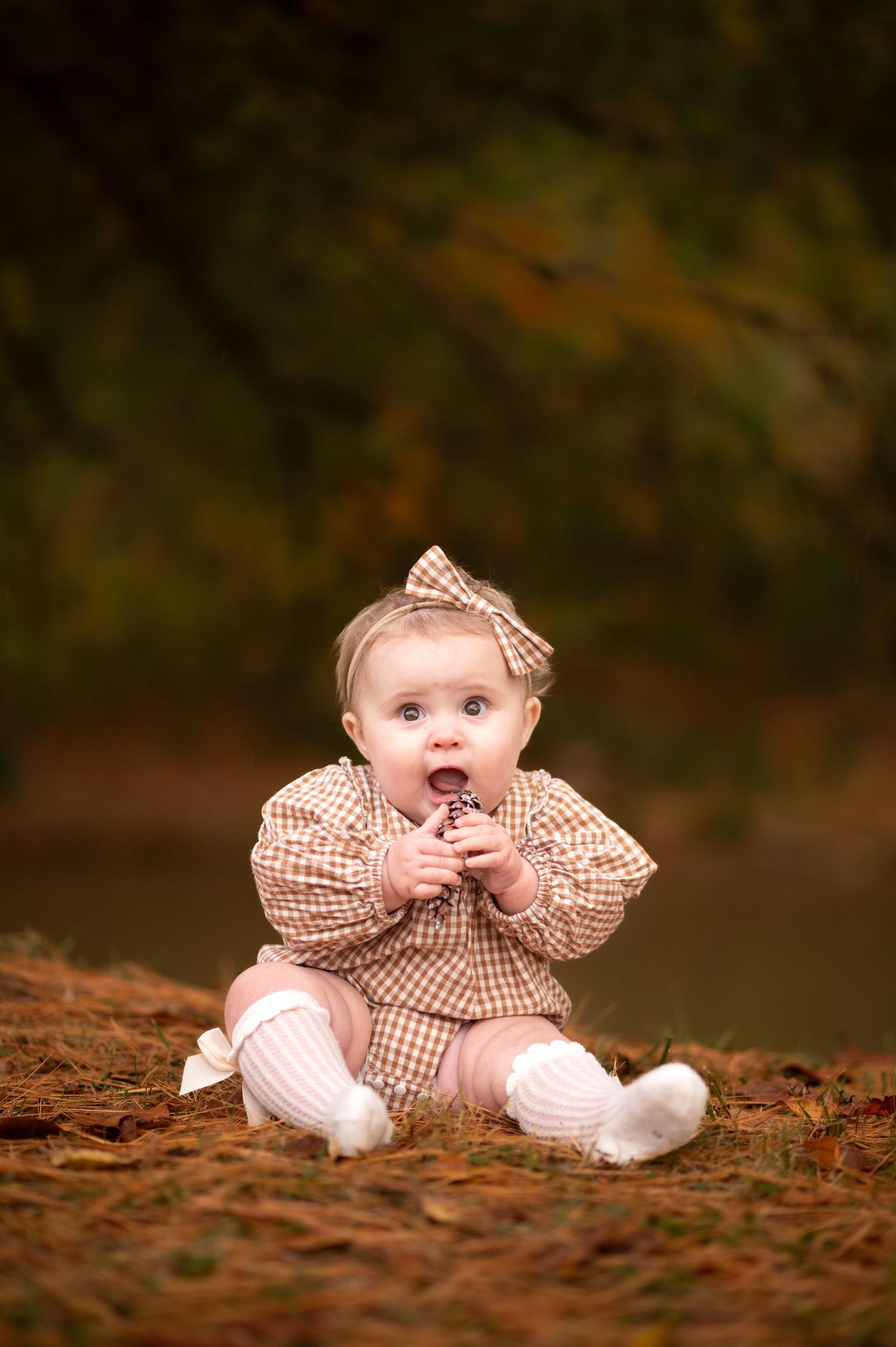an adorable chubby baby girl in a brown dress sits on the ground among pine needles and holds a pinecone