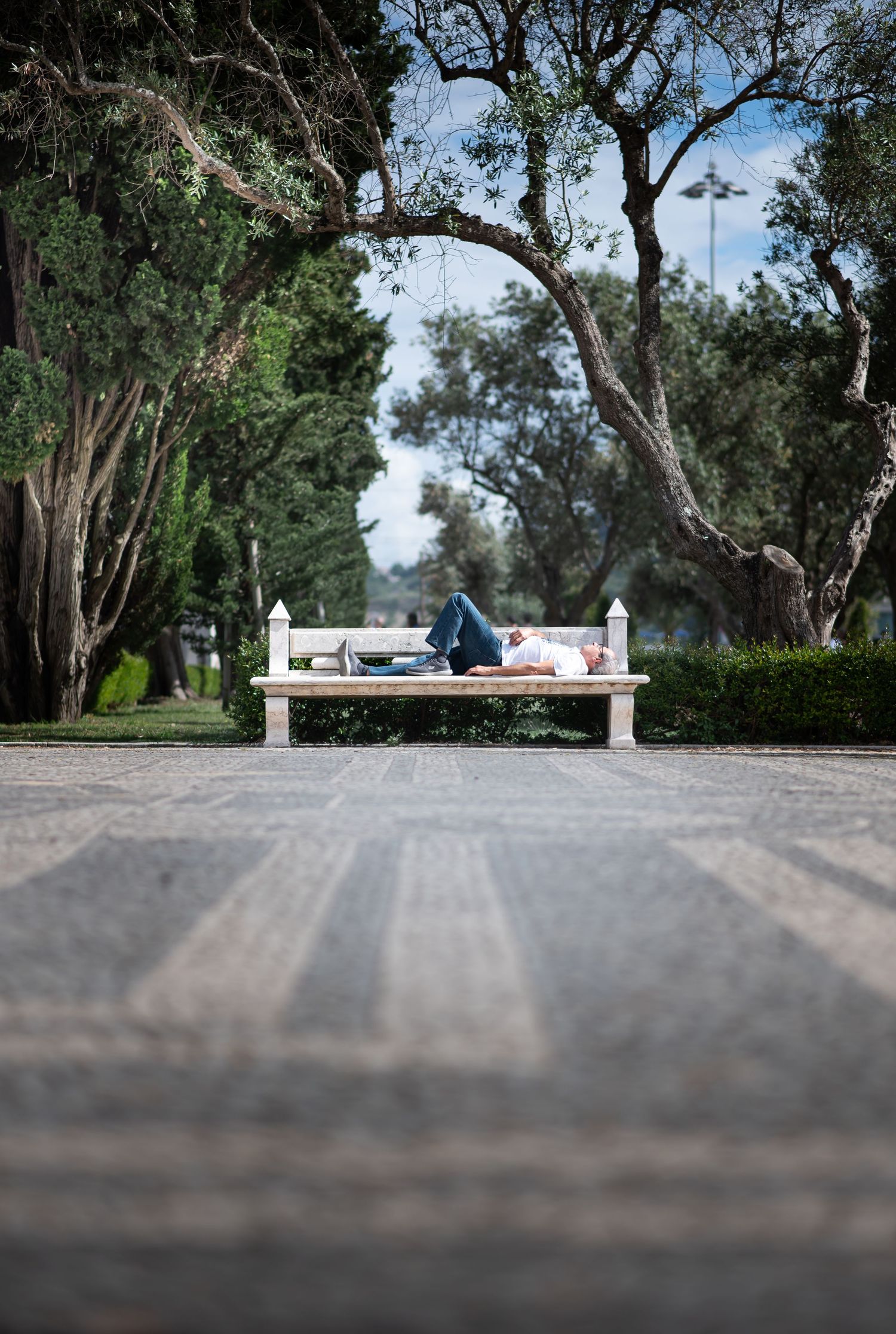 Person lying on a white park bench surrounded by lush green trees along a scenic pathway.