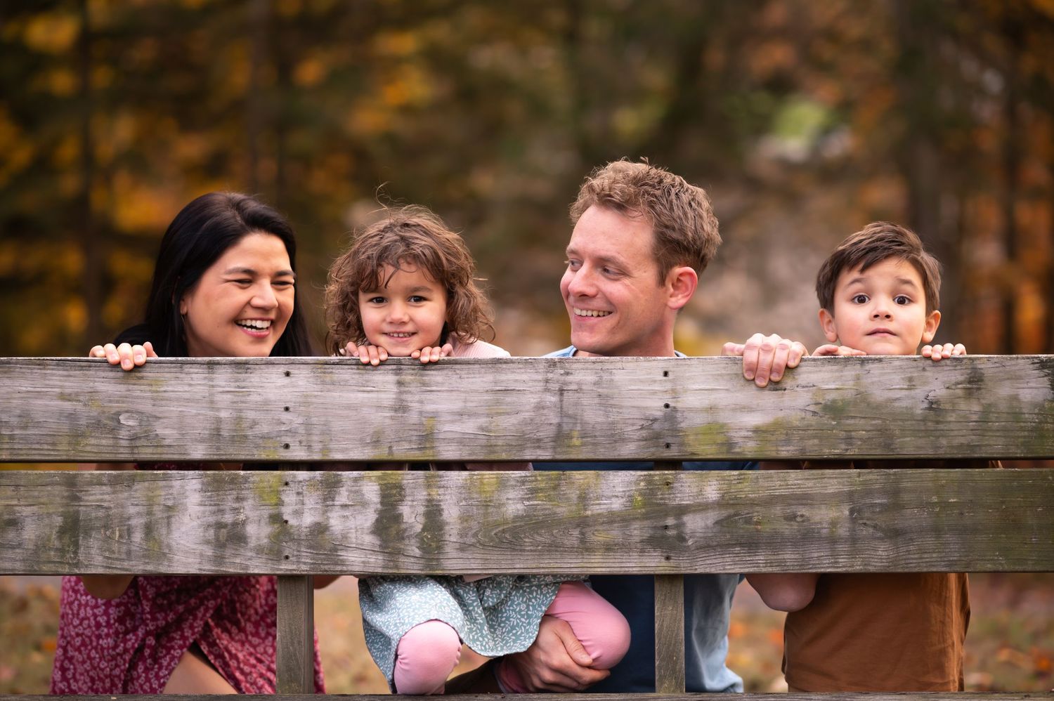 a family of four peeks over the edge of a bench together and laughs for a fun family portrait