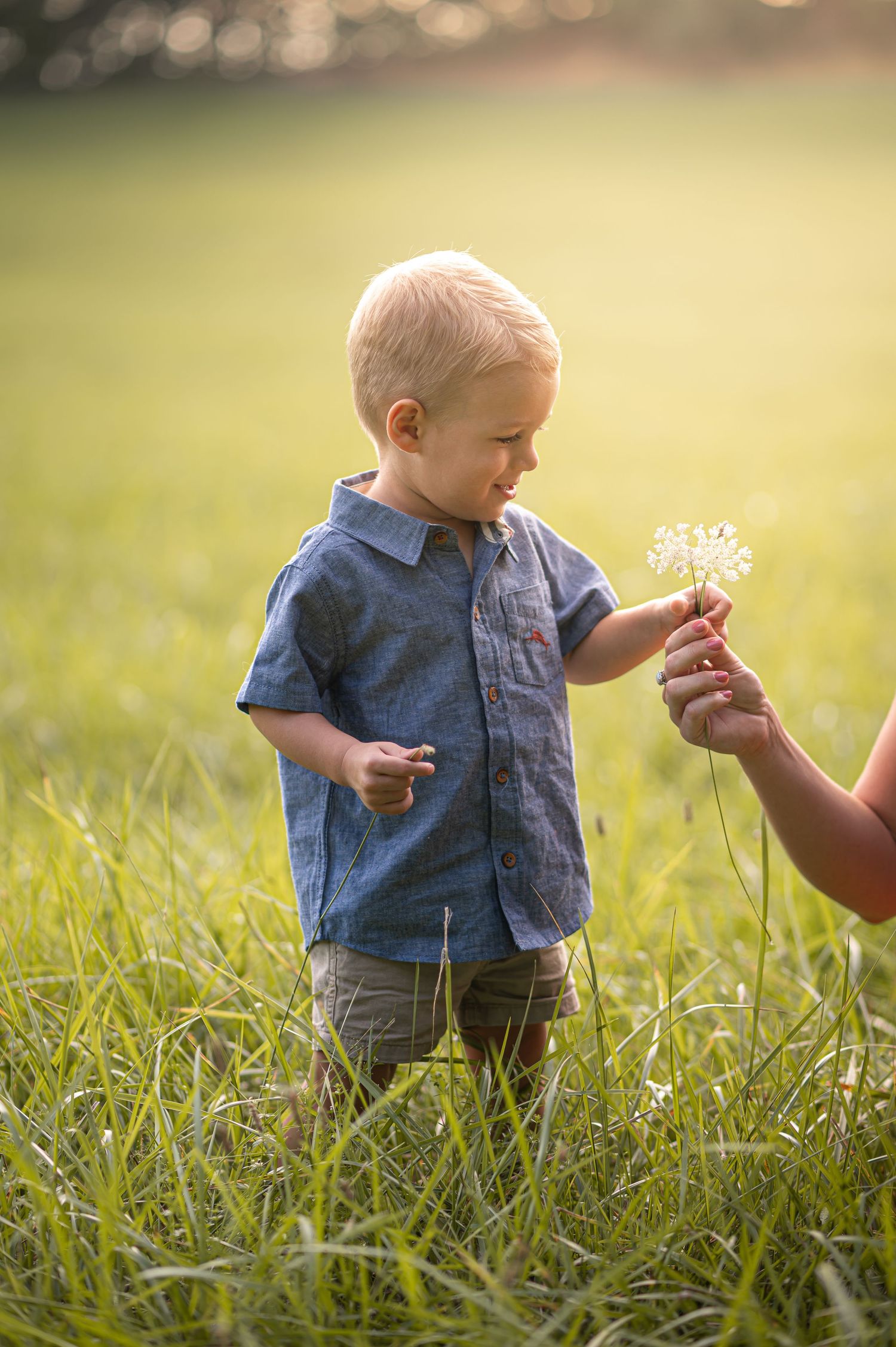 a little blonde boy in a denim shirt stands in a field of tall sunlit grass with trees and field in the background