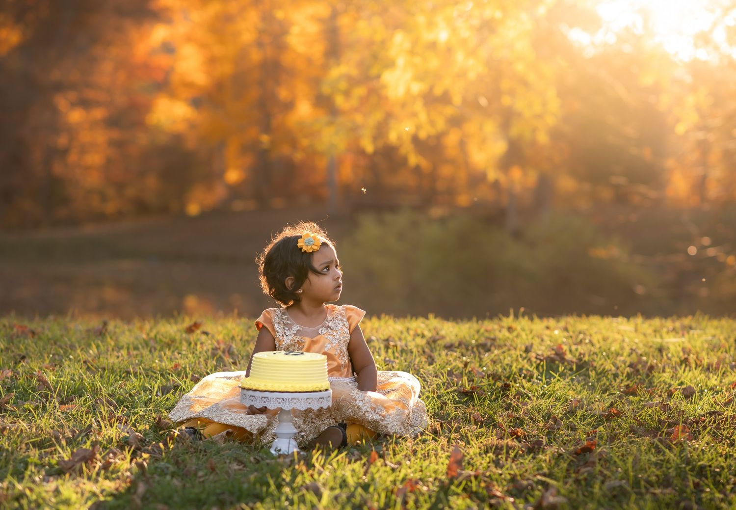 little girl in a fluffy yellow dress sits in the grass with a yellow birthday cake on a pedestal, with beautiful fall foliage in background