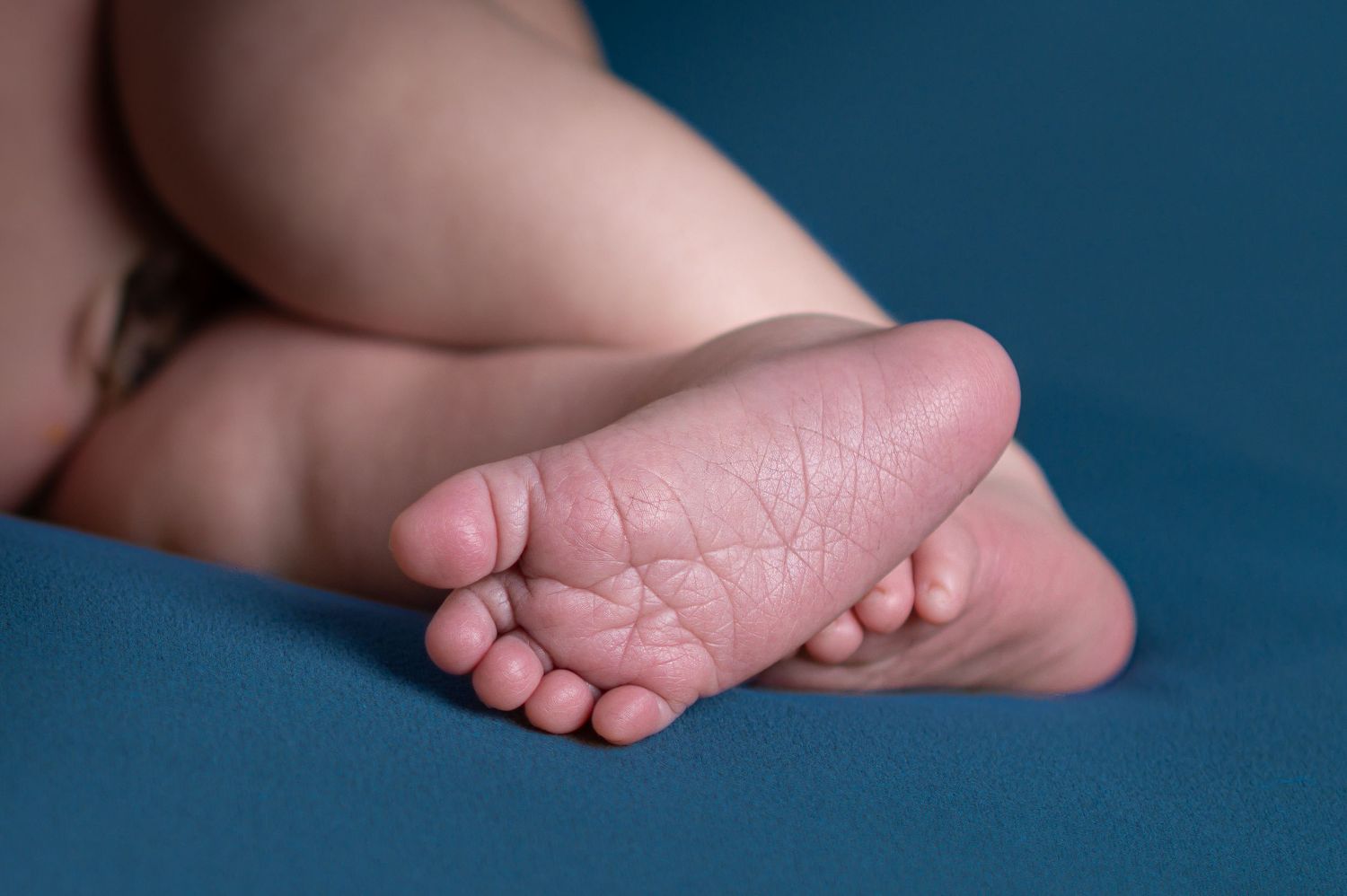 Close-up of soft newborn baby feet resting on a teal blue background, showcasing tiny toes and delicate skin texture.