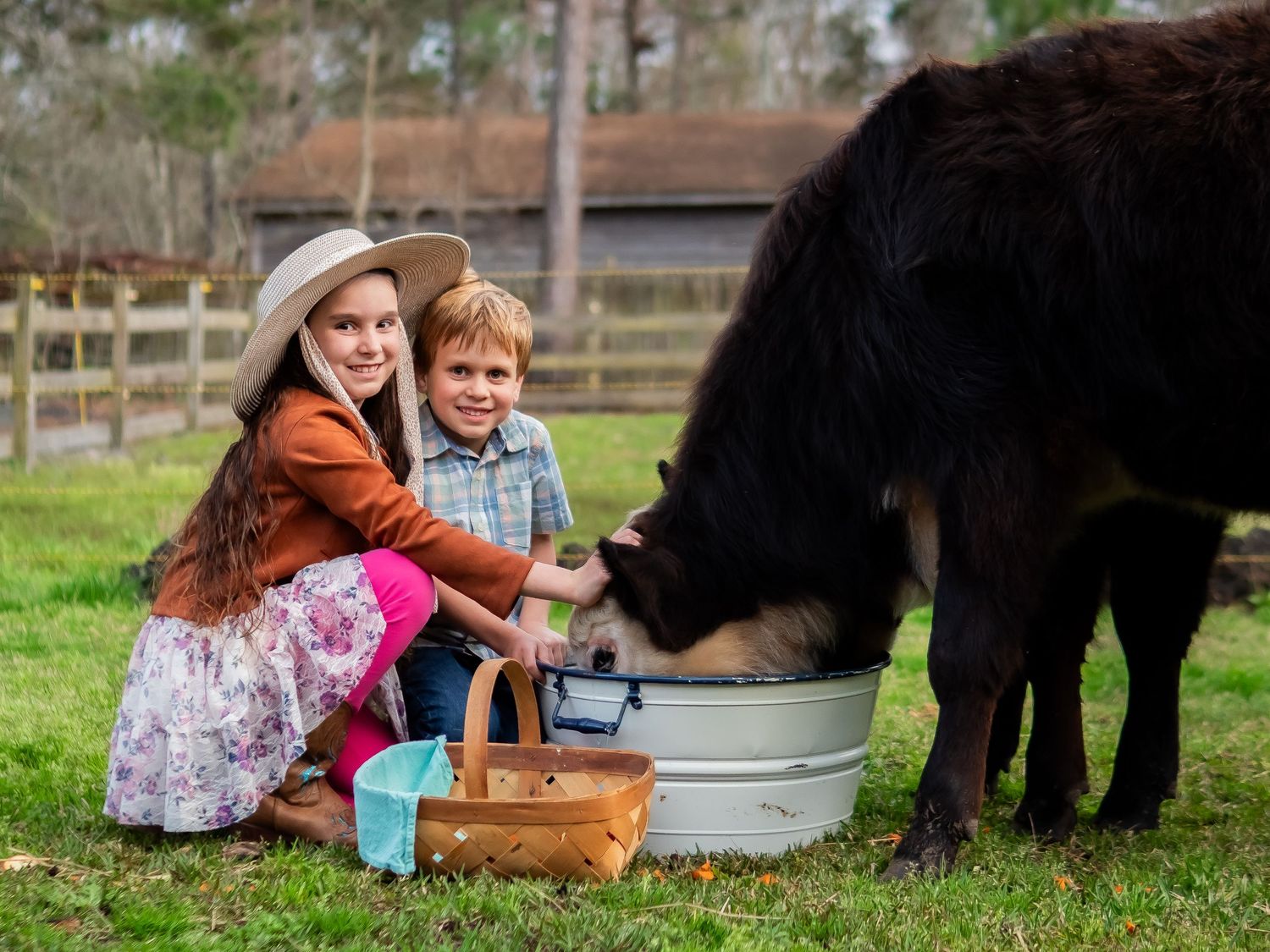Portraits at Flew the Coop Farm
